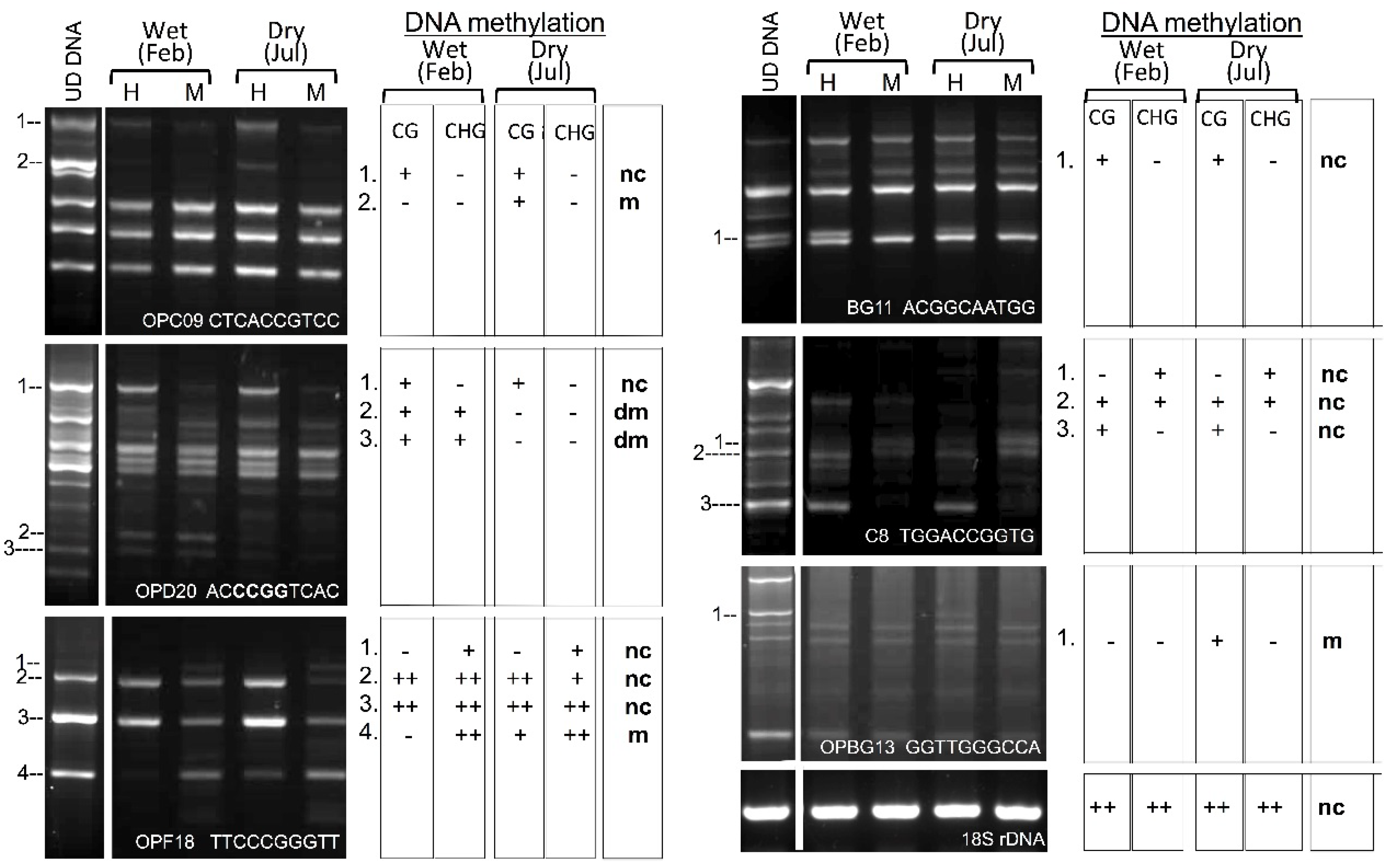 Plants 07 00059 g002