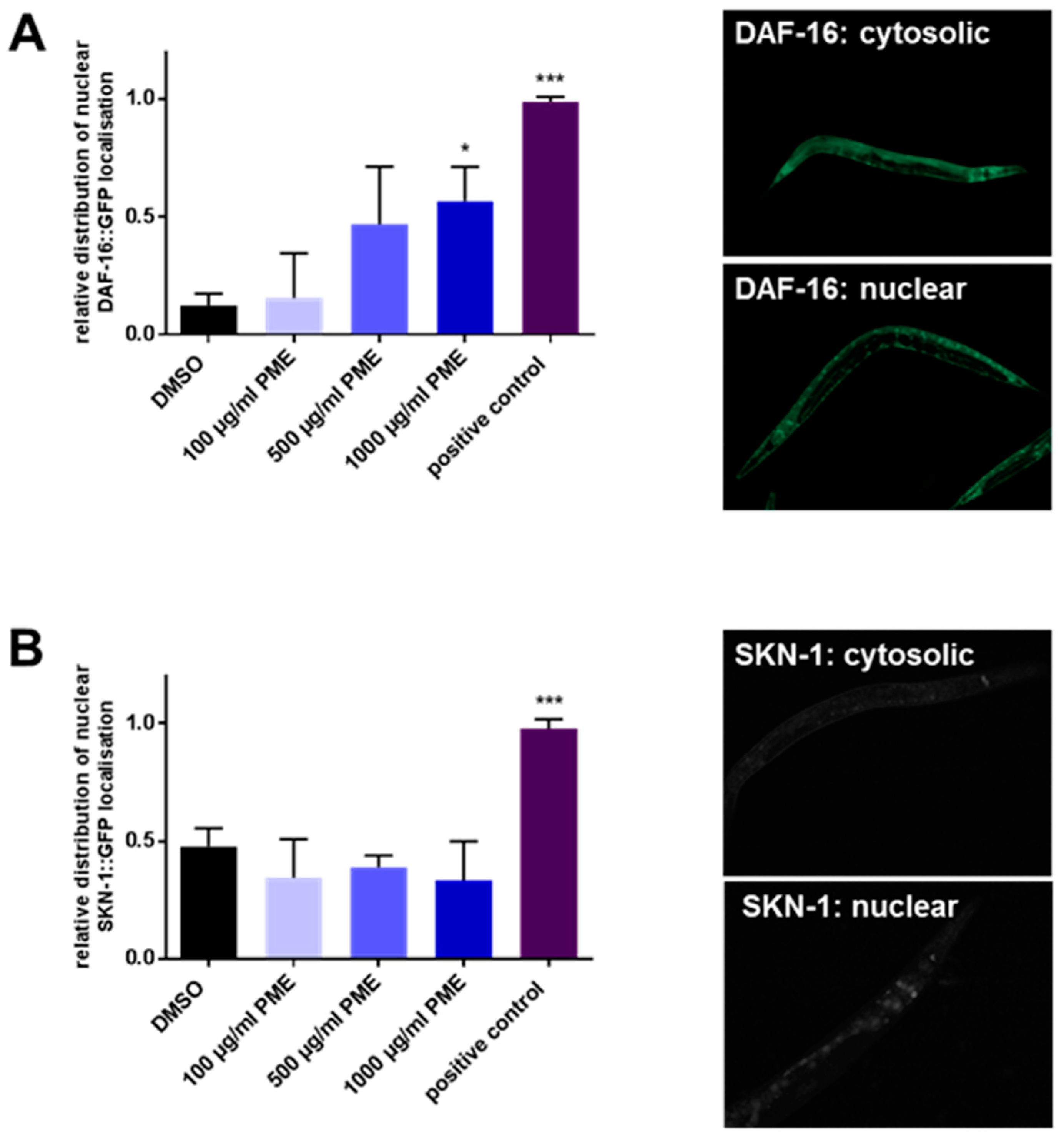 Plants 07 00060 g003