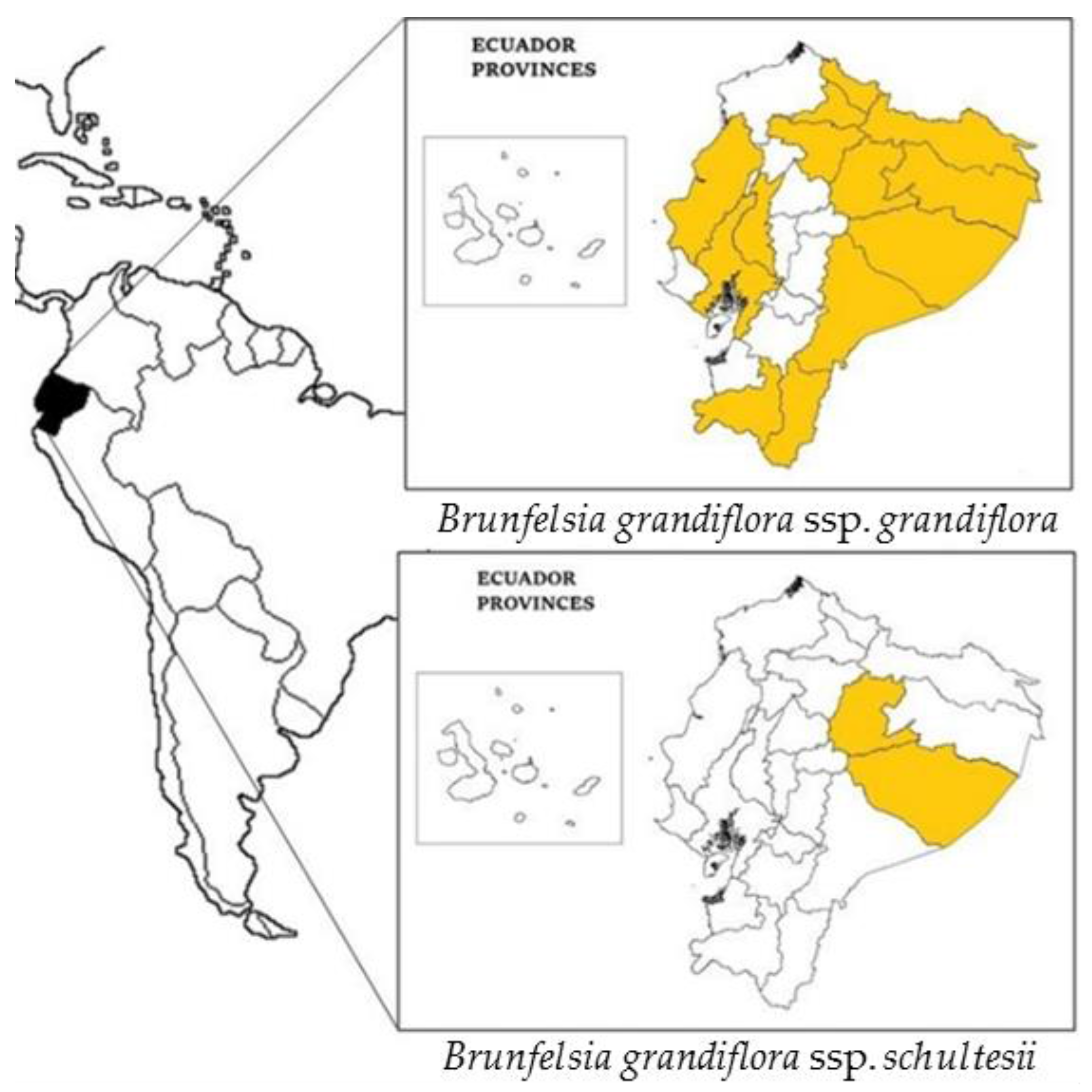 Plants 07 00067 g002 550