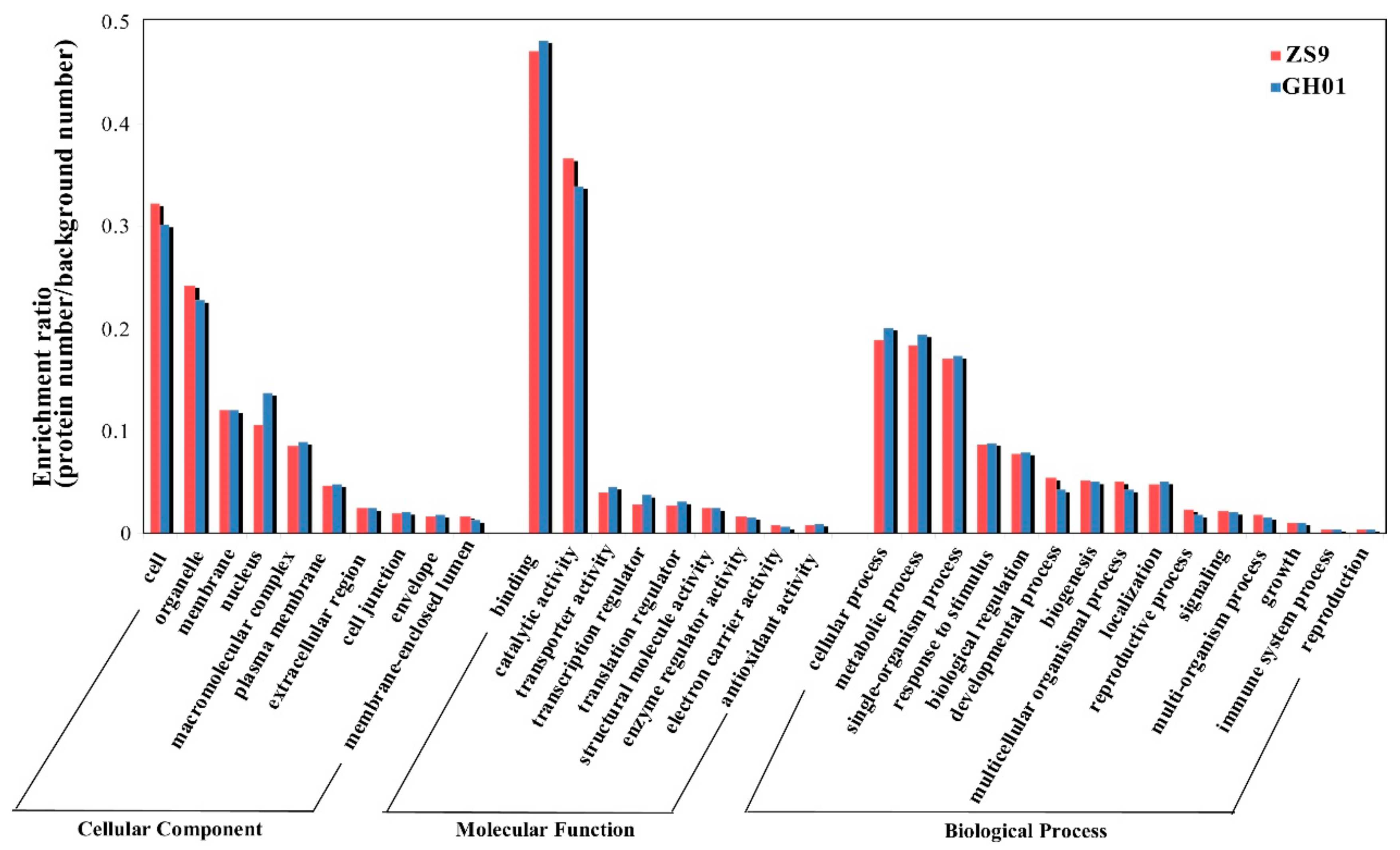 Plants 07 00071 g004 Plants 07 00071 g004