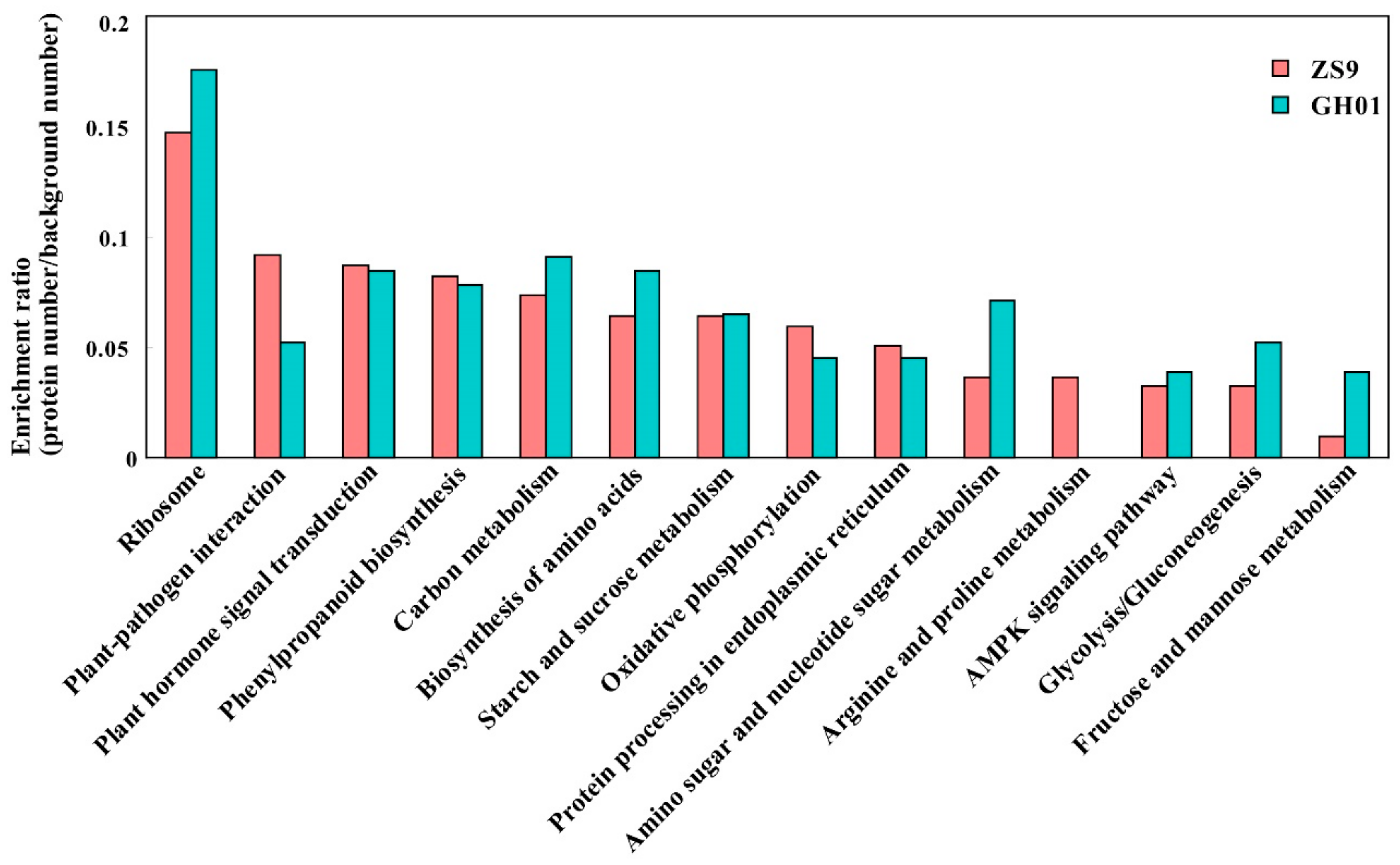 Plants 07 00071 g005 Plants 07 00071 g005
