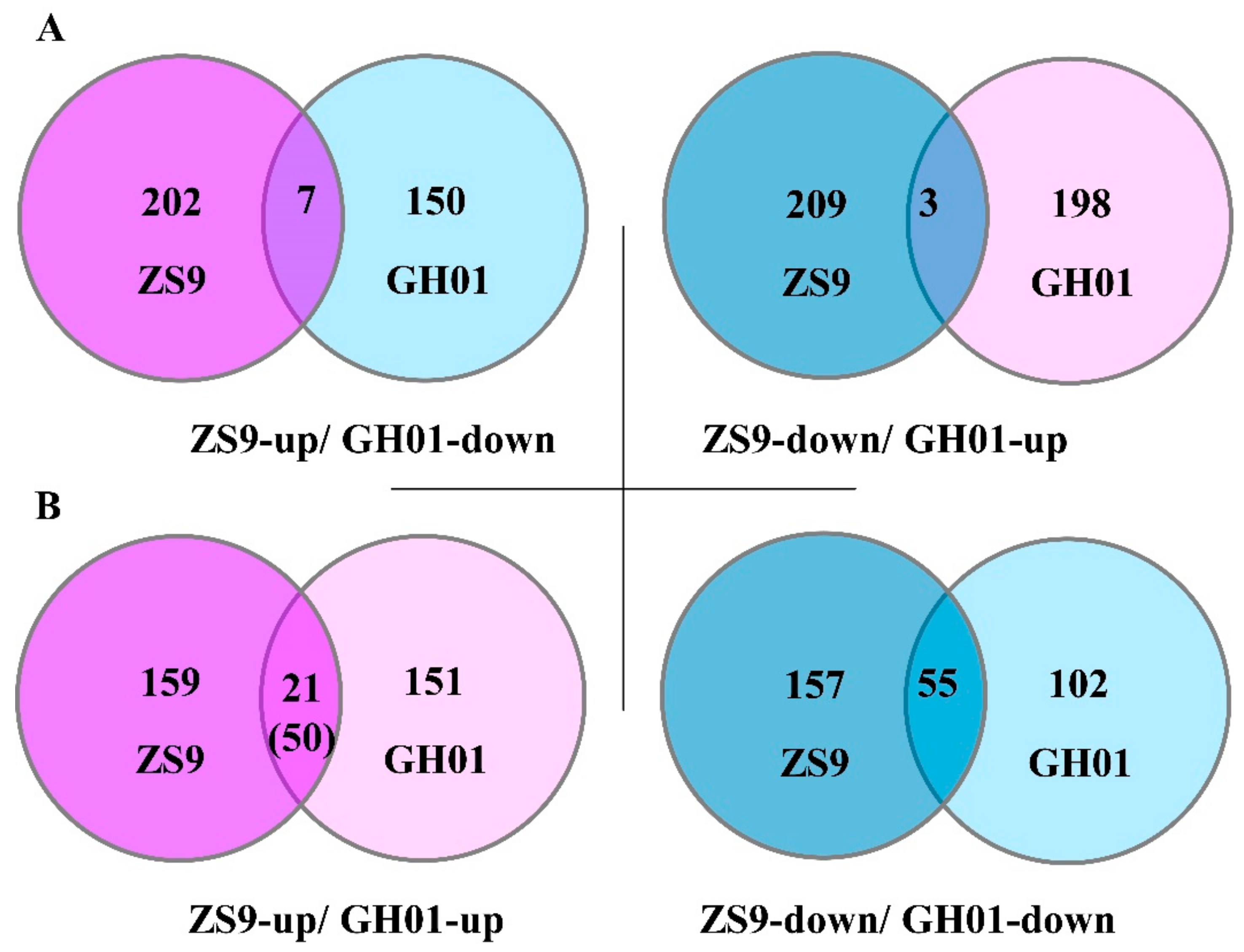 Plants 07 00071 g006 Plants 07 00071 g006