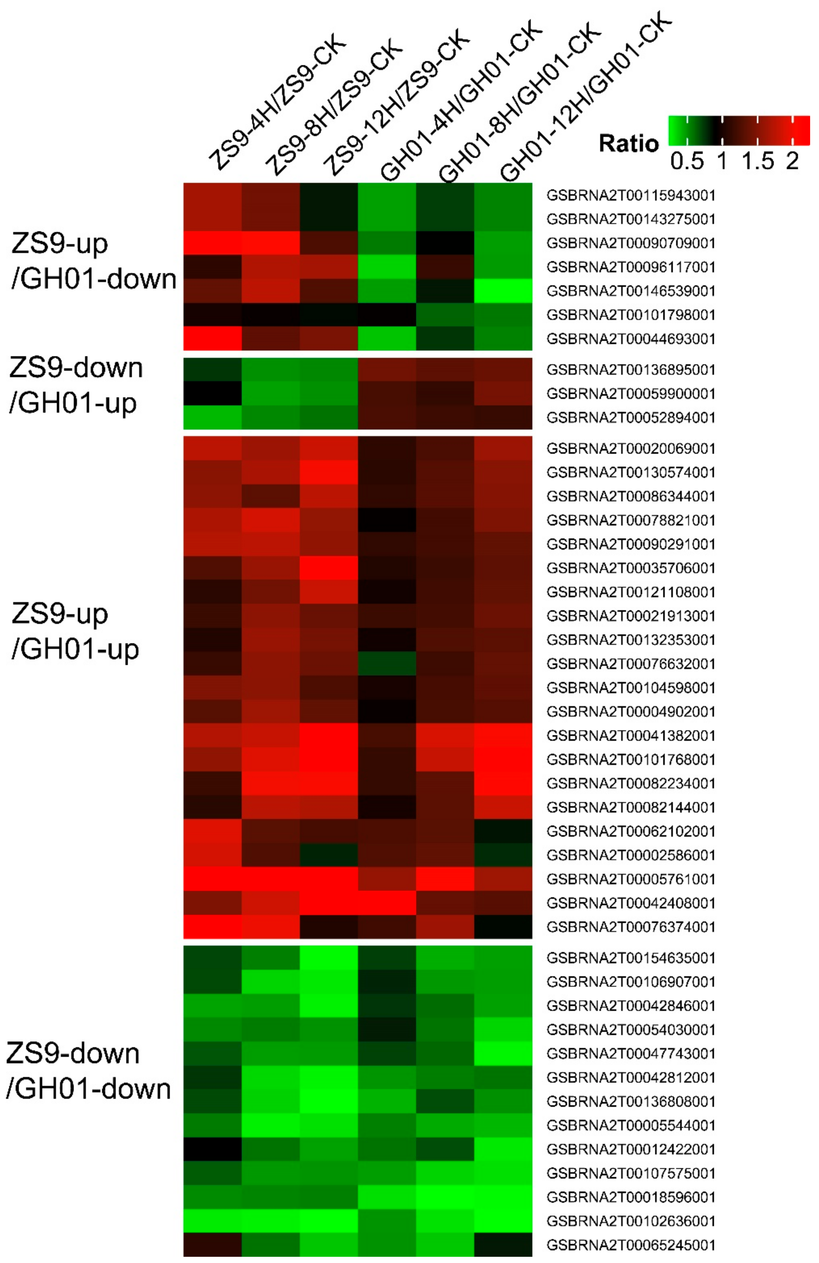 Plants 07 00071 g007 Plants 07 00071 g007