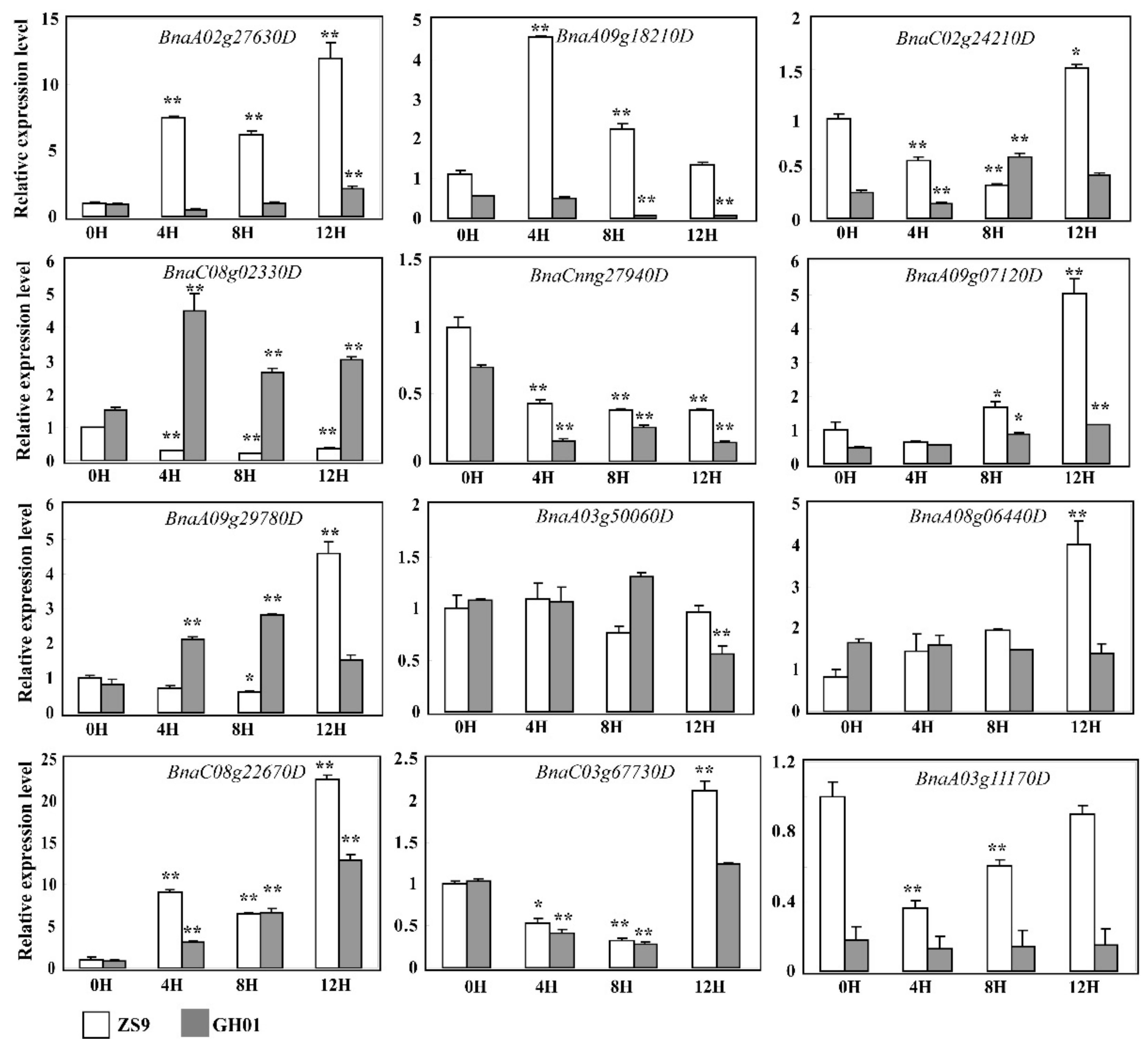 Plants 07 00071 g008 Plants 07 00071 g008