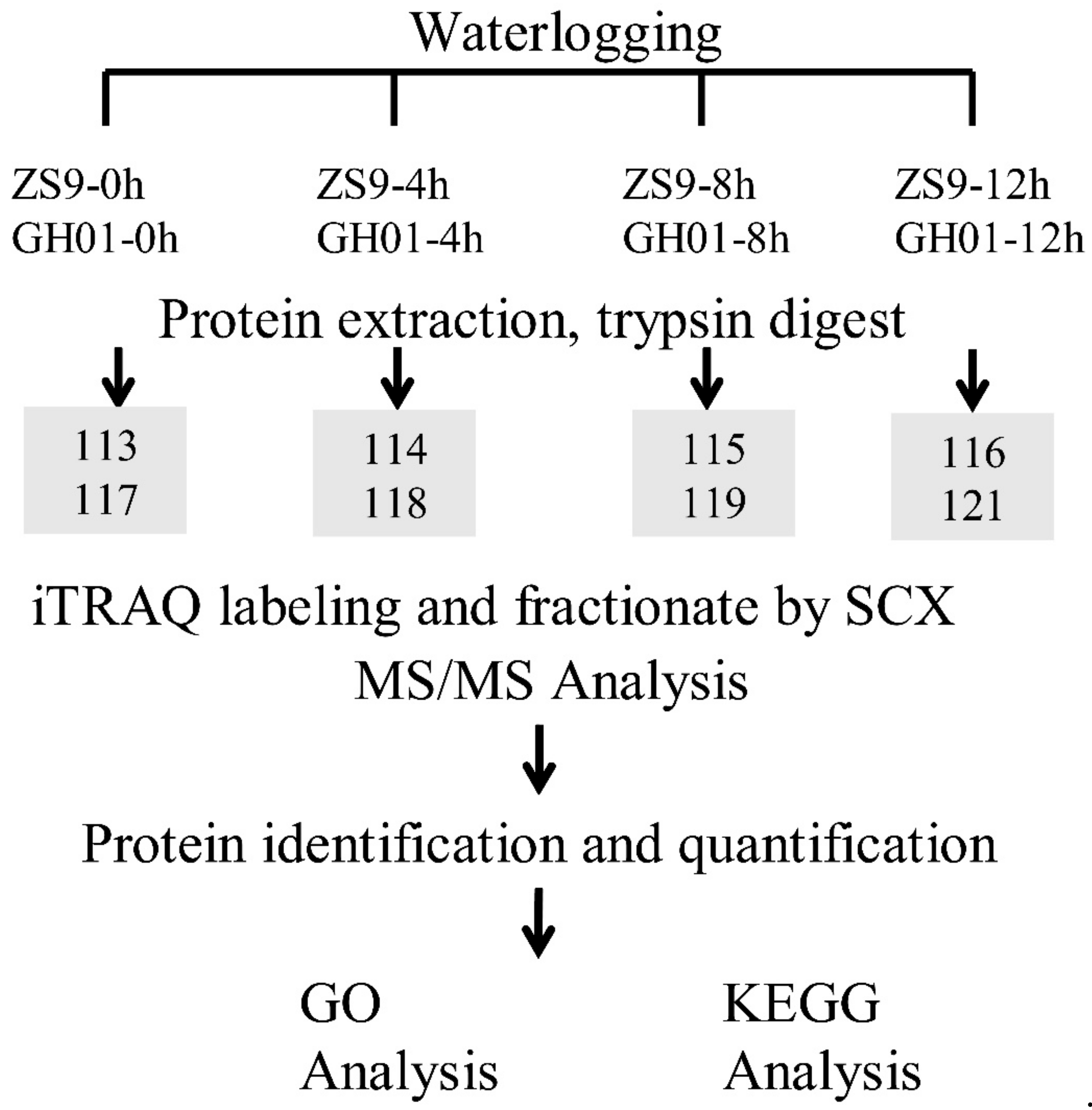 Plants 07 00071 g009 Plants 07 00071 g009