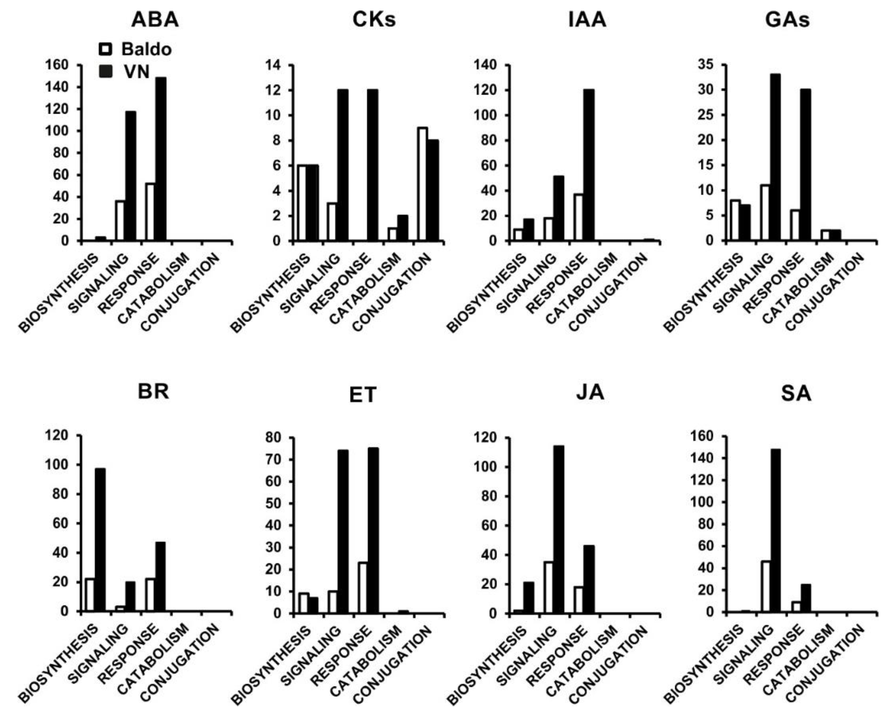 Plants 07 00075 g004