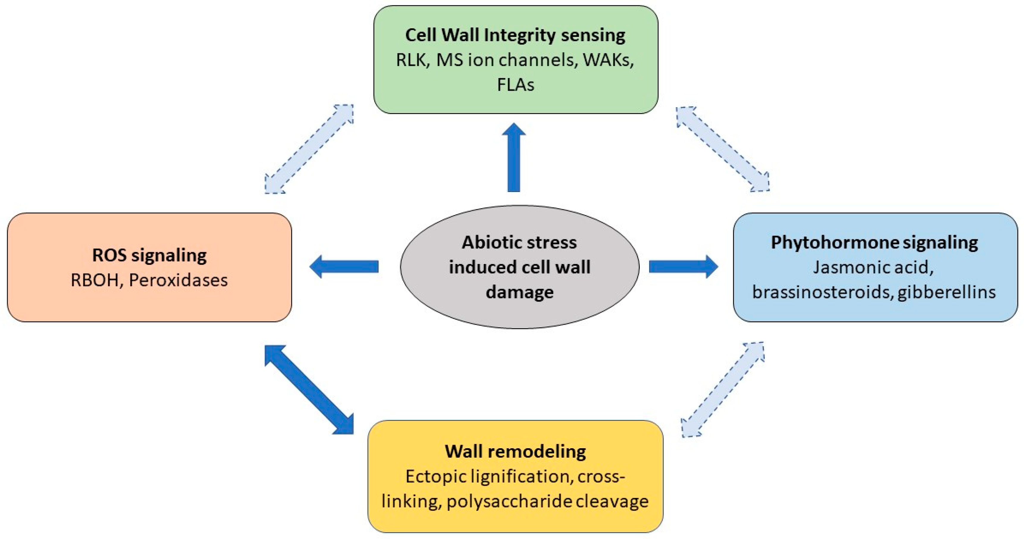 Plants 07 00089 g002