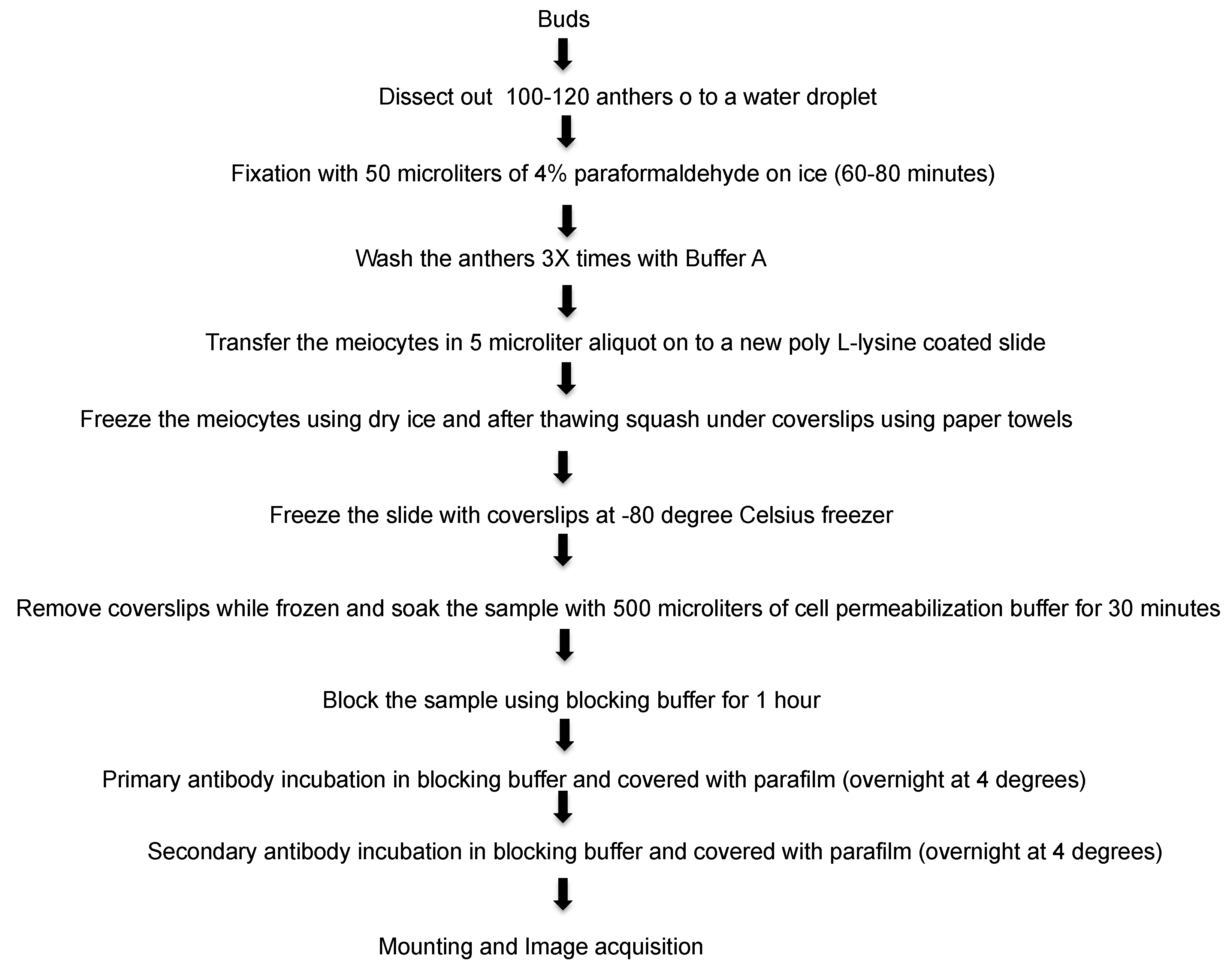 Plants 07 00093 g005