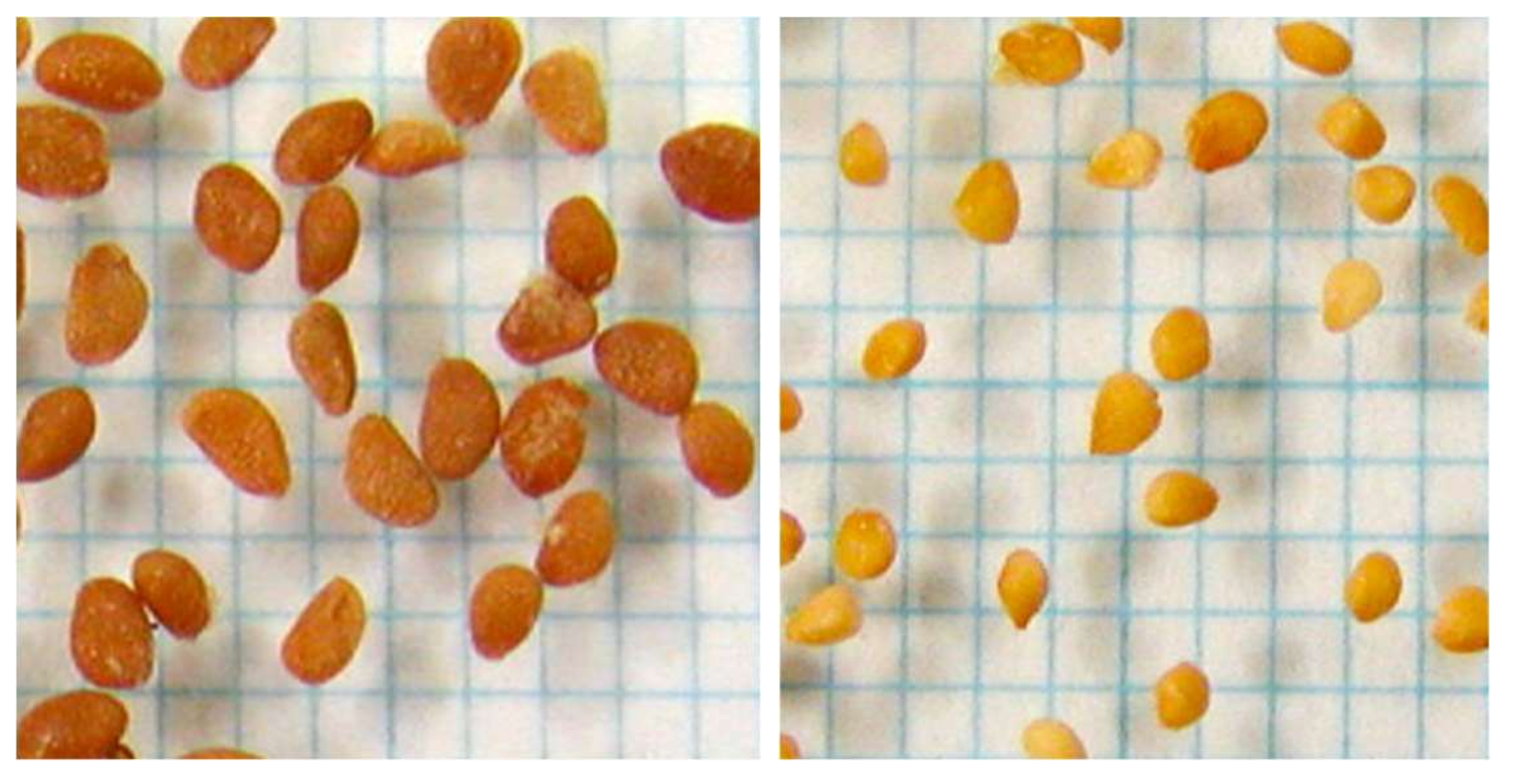 Plants 07 00096 g003 550