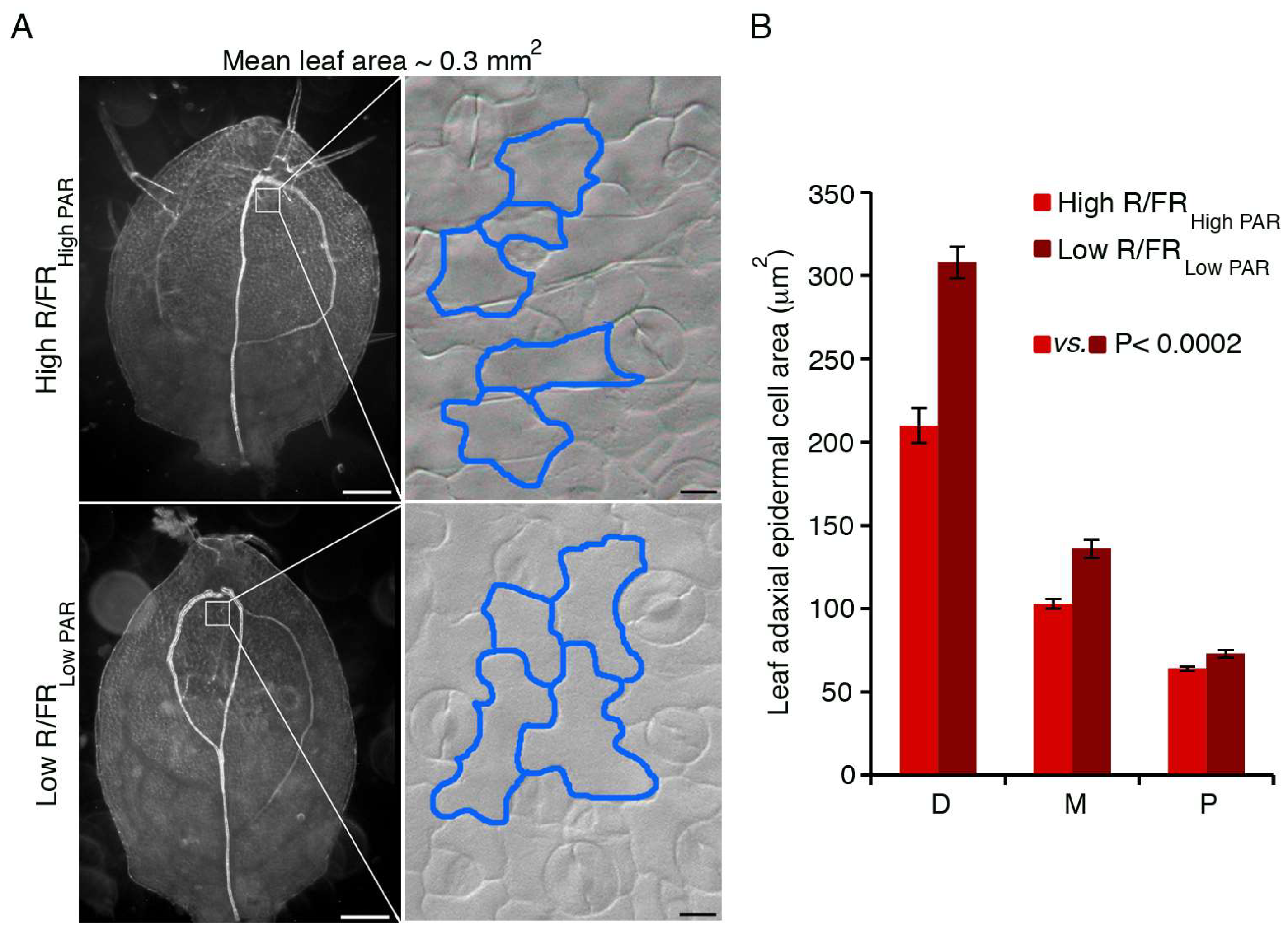 Plants 07 00102 g003 Plants 07 00102 g003