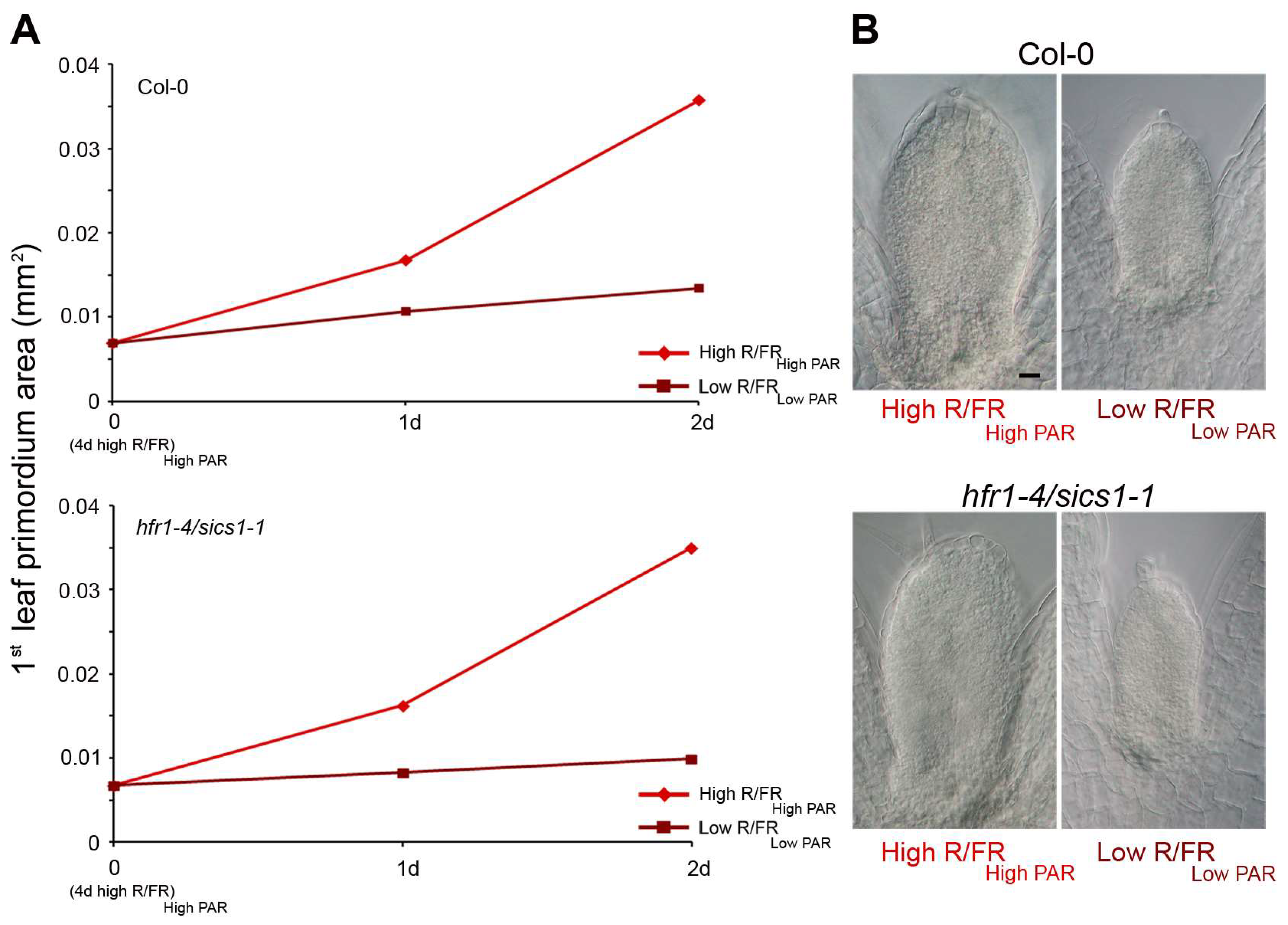 Plants 07 00102 g004 Plants 07 00102 g004