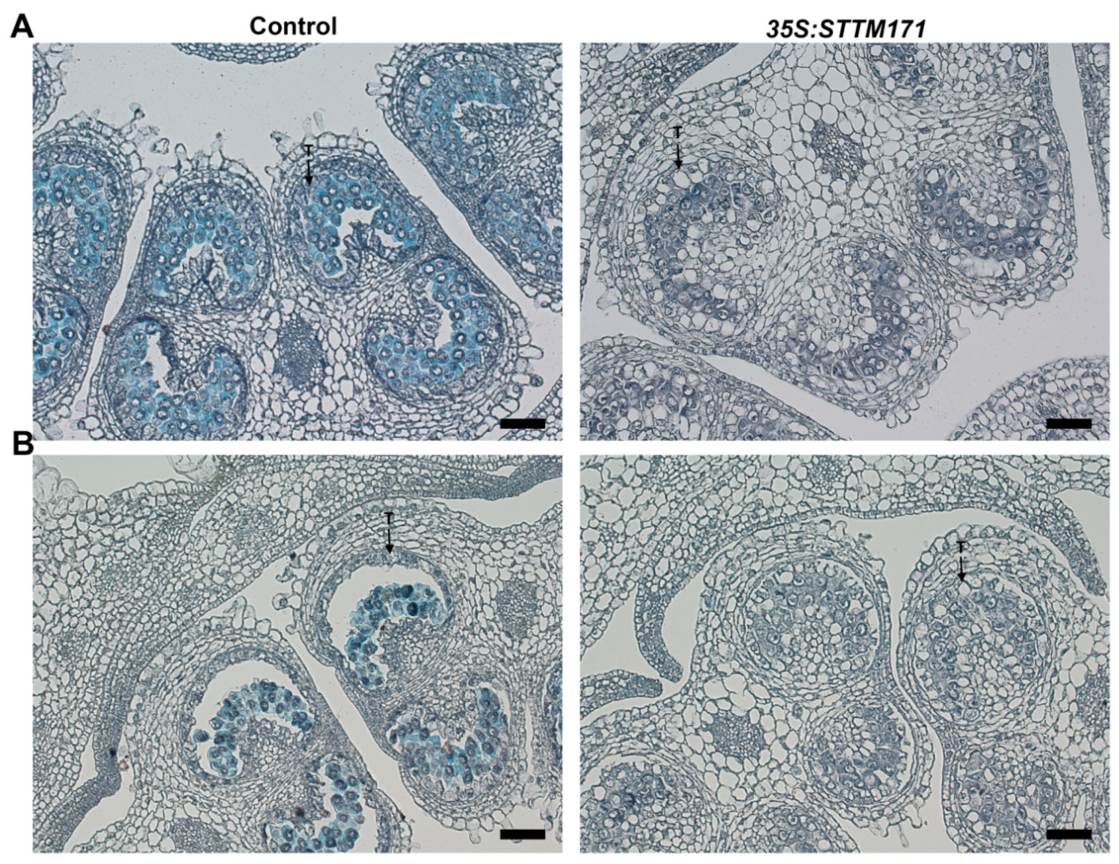 Plants 08 00010 g007