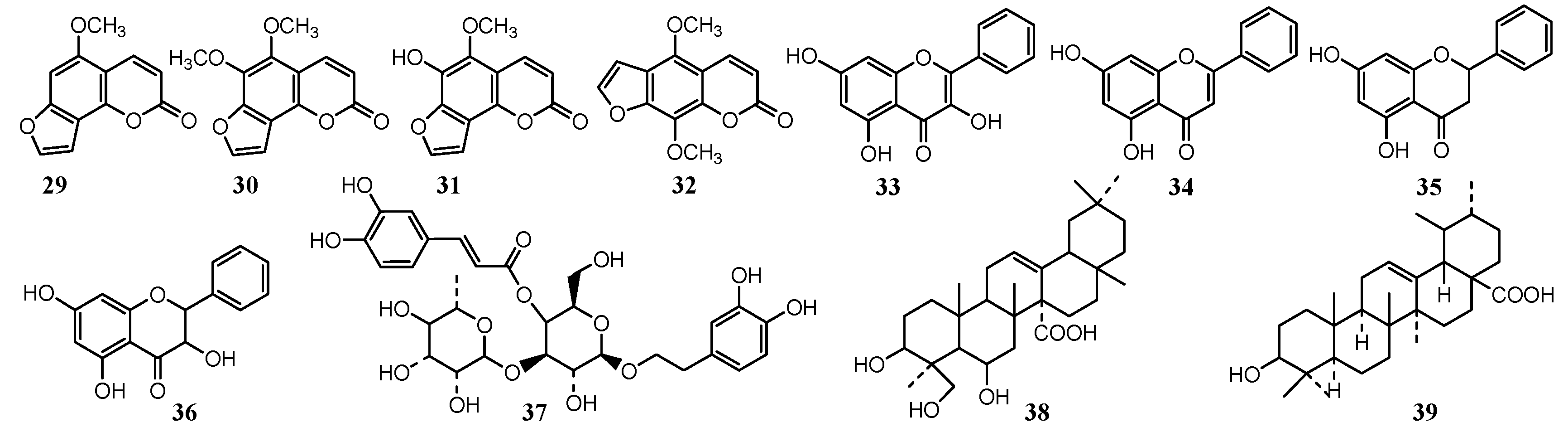 Plants 08 00026 g003