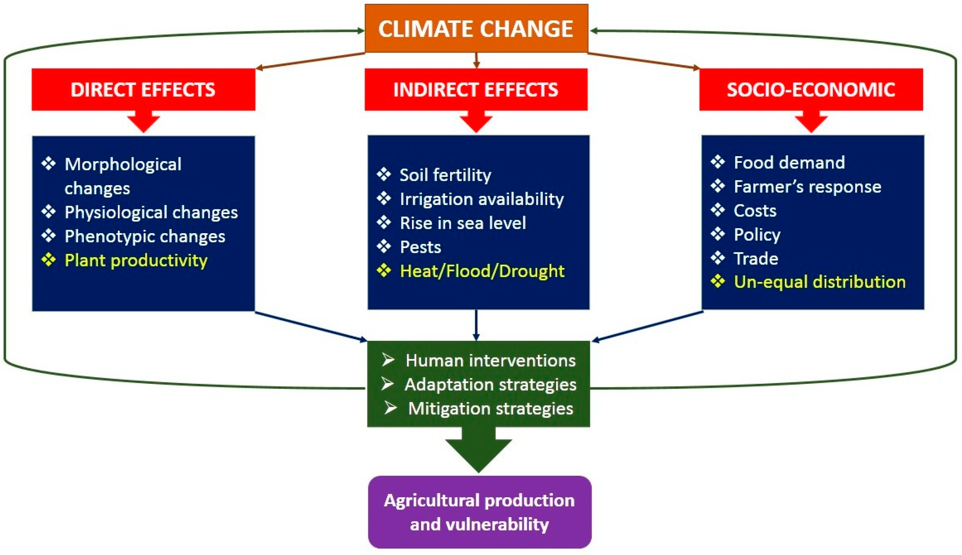 An A To Z Of Frost And How It Affects Our Plants — Two Wests & Elliott Ltd