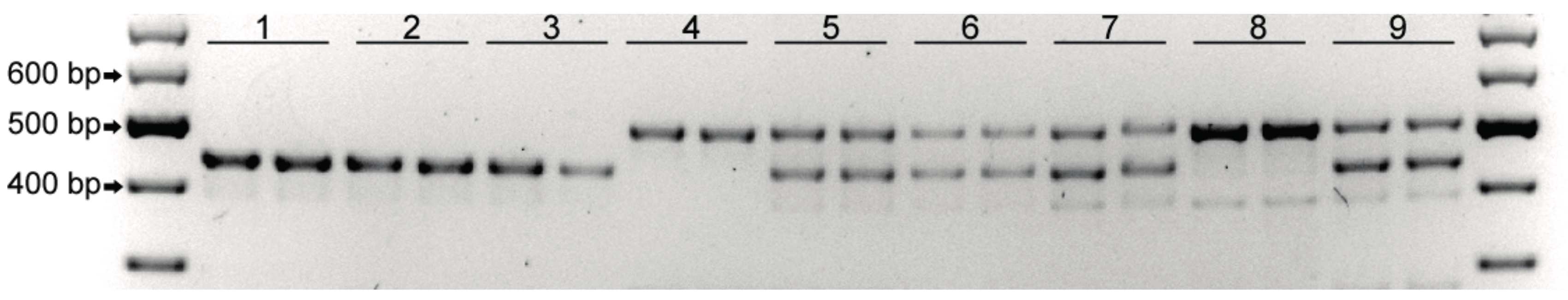 Plants 08 00036 g001 Plants 08 00036 g001
