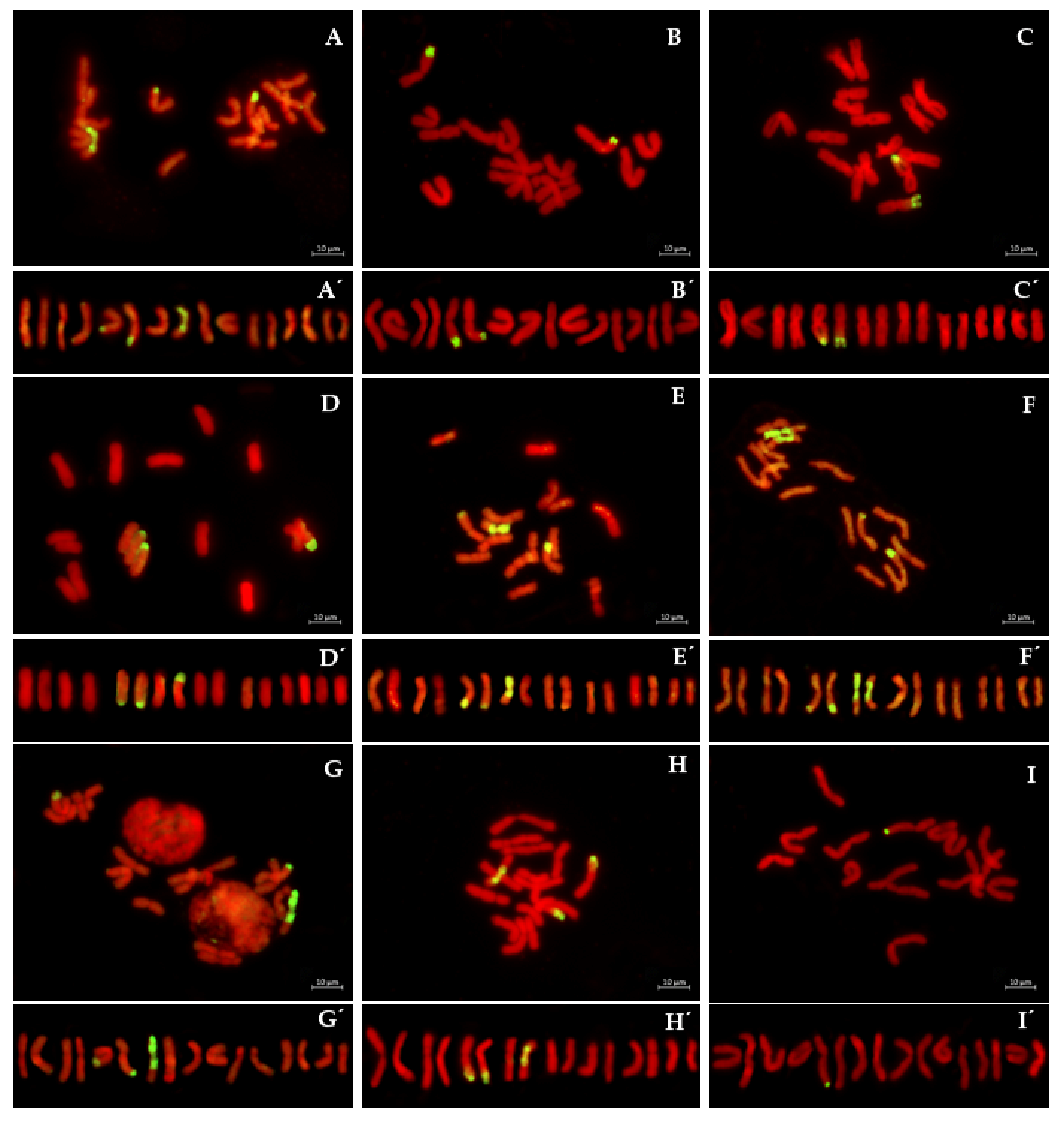 Plants 08 00036 g002 Plants 08 00036 g002