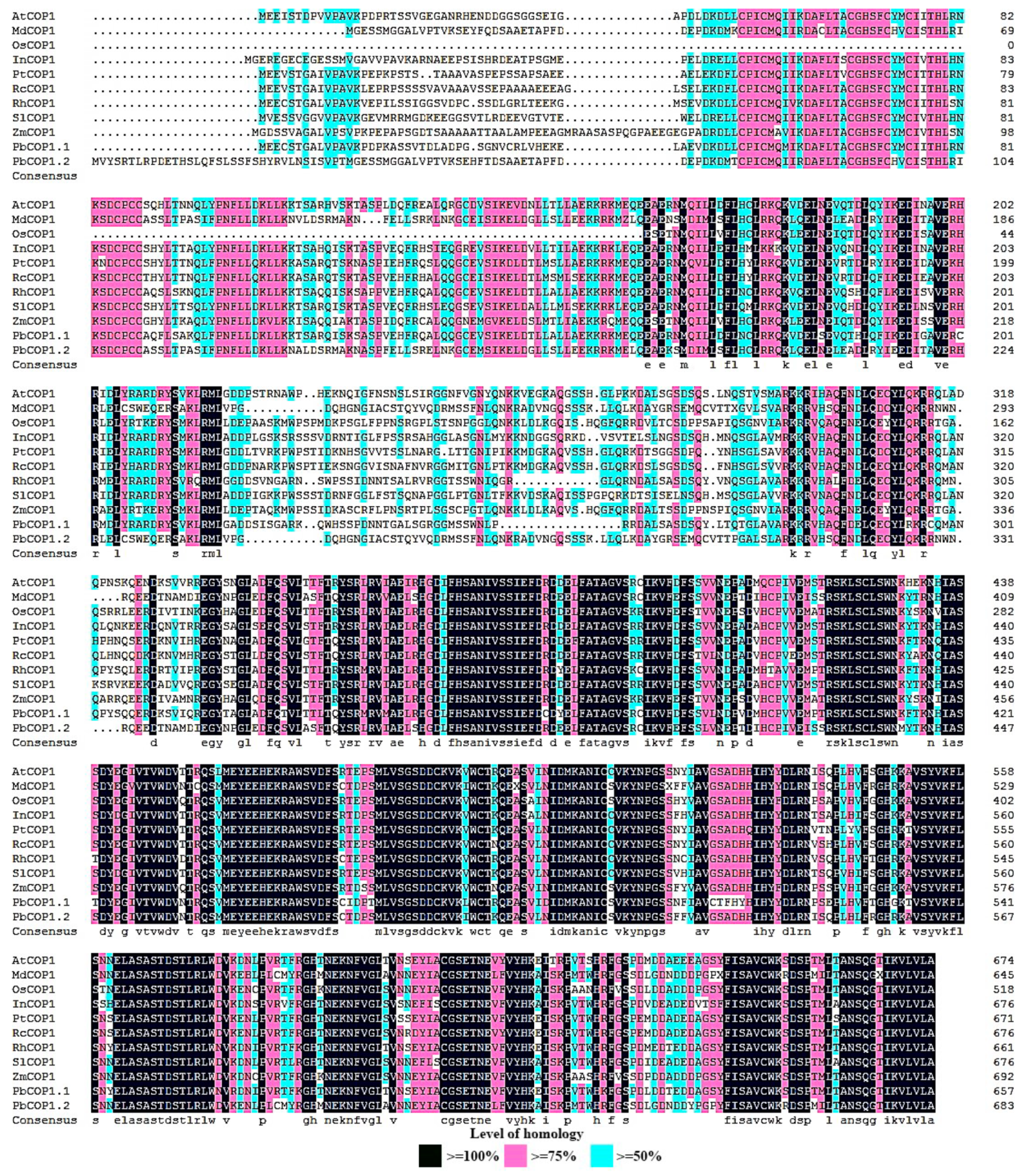 Plants 08 00039 g001 Plants 08 00039 g001