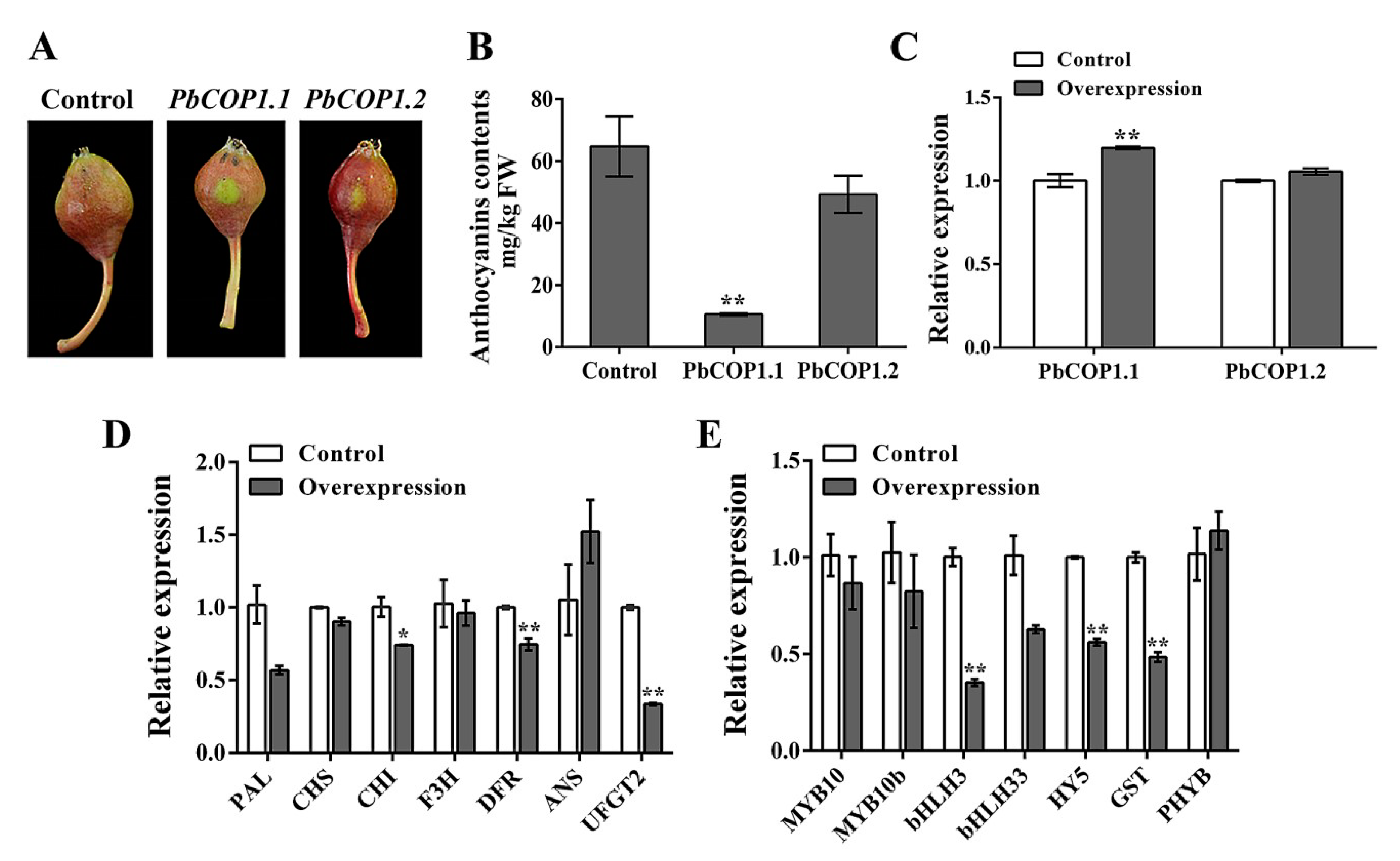 Plants 08 00039 g005 Plants 08 00039 g005
