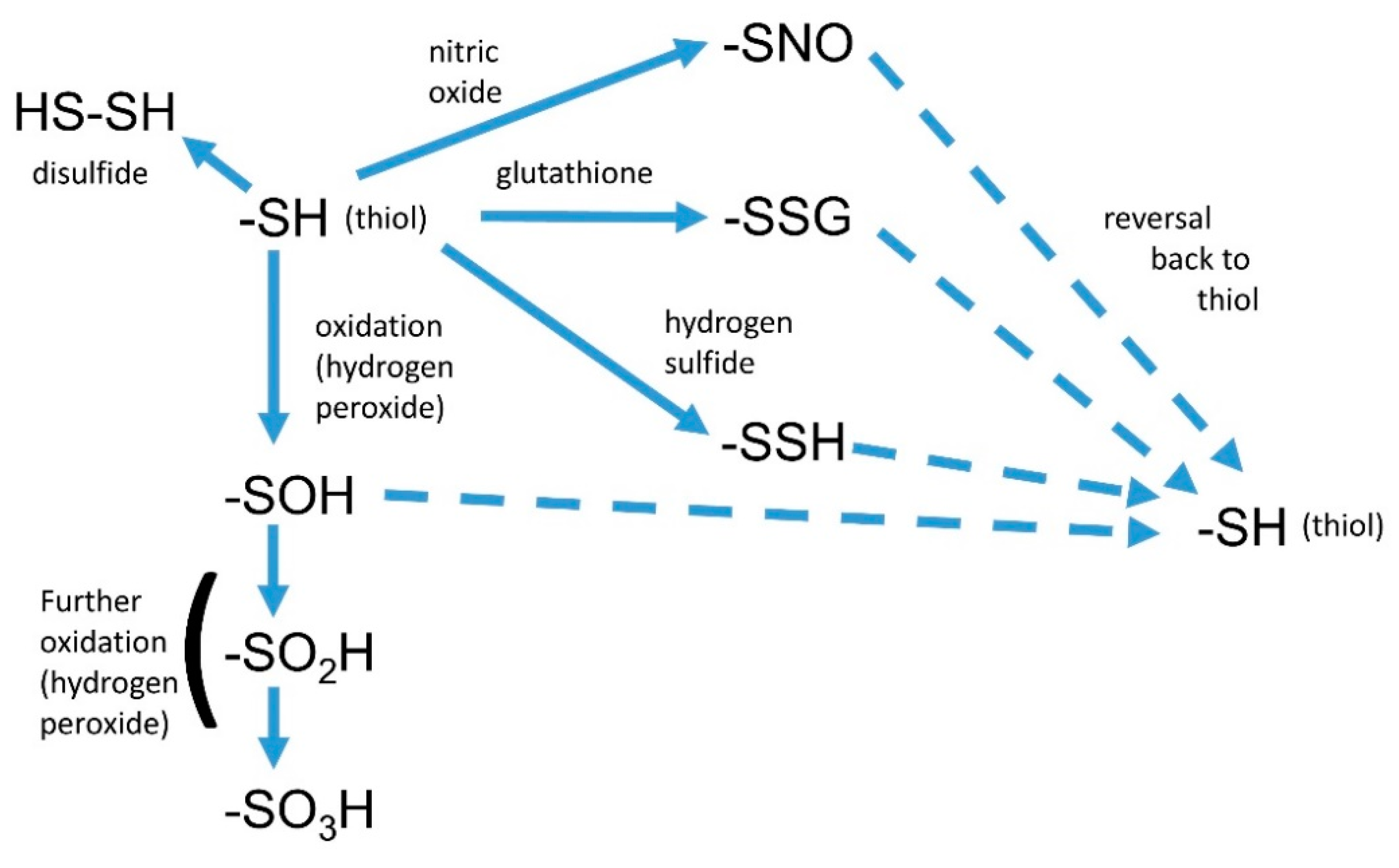 Plants 08 00041 g002