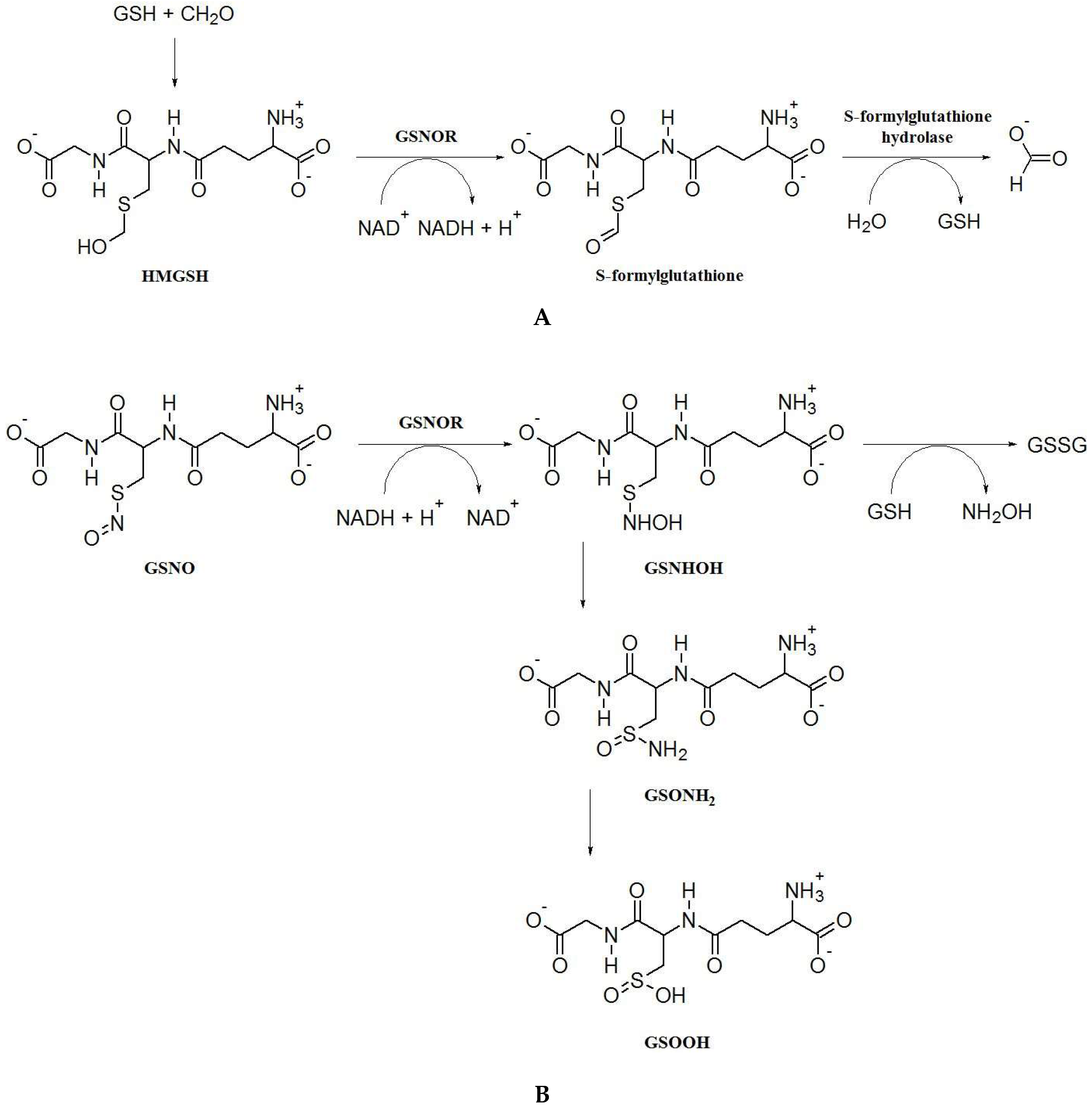 Plants 08 00048 g001 Plants 08 00048 g001