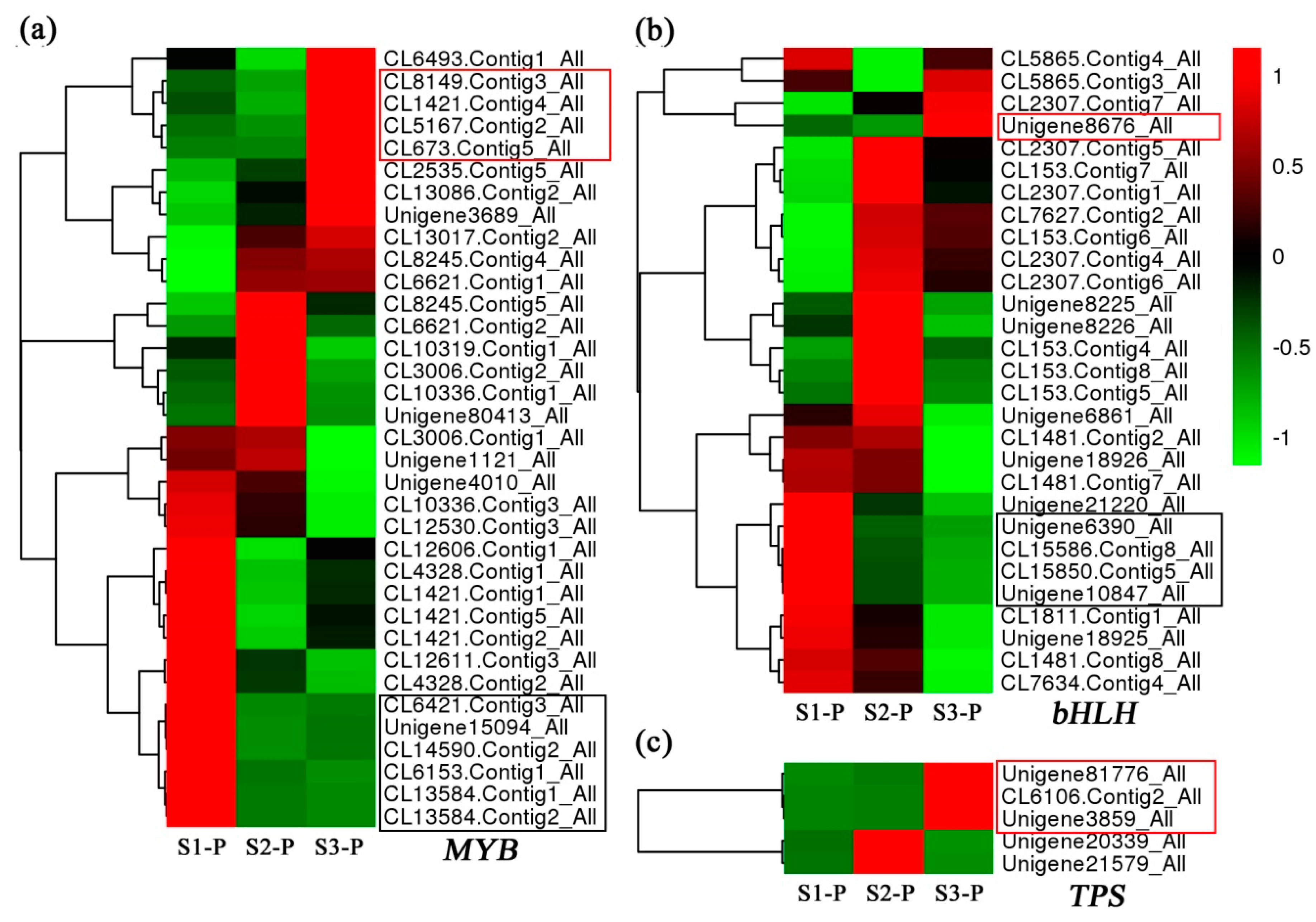 Plants 08 00053 g005 Plants 08 00053 g005