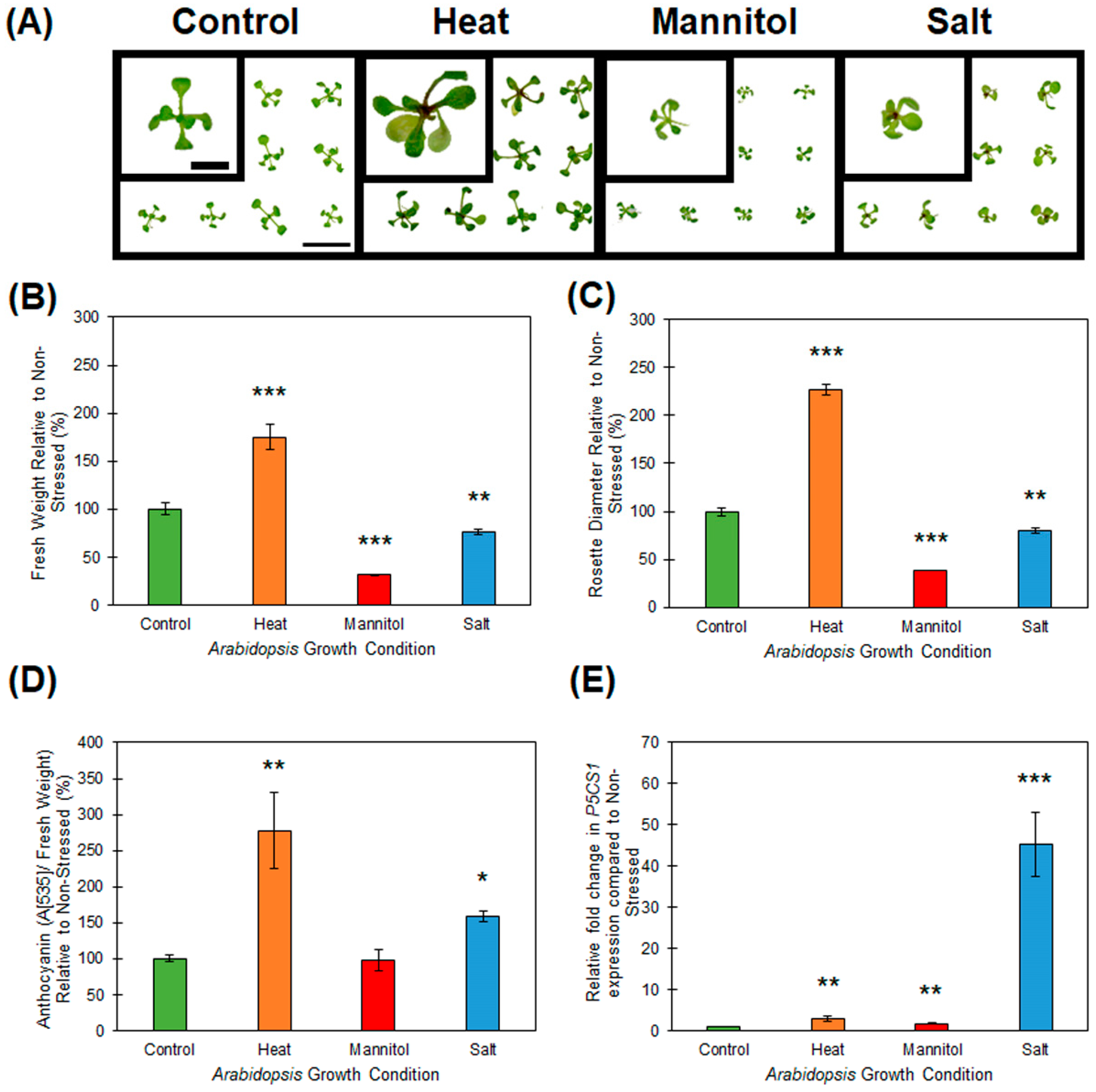 Plants 08 00058 g001