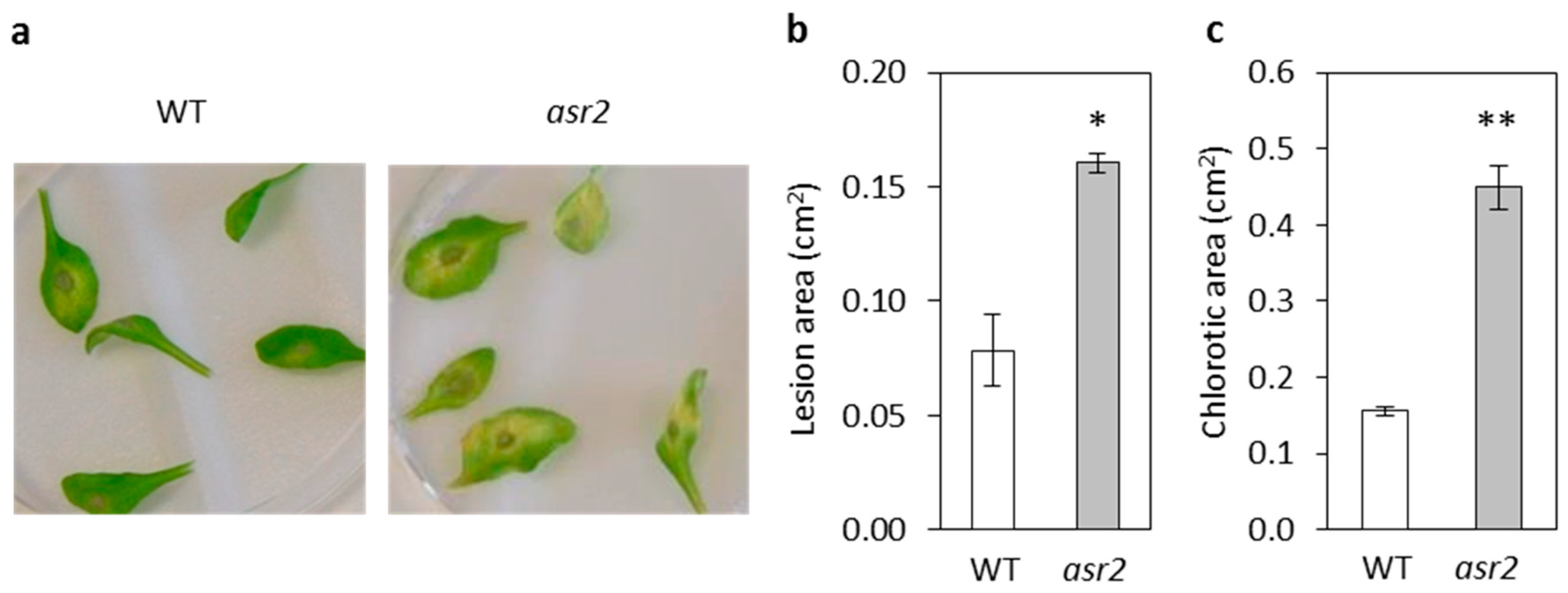 Plants 08 00060 g004