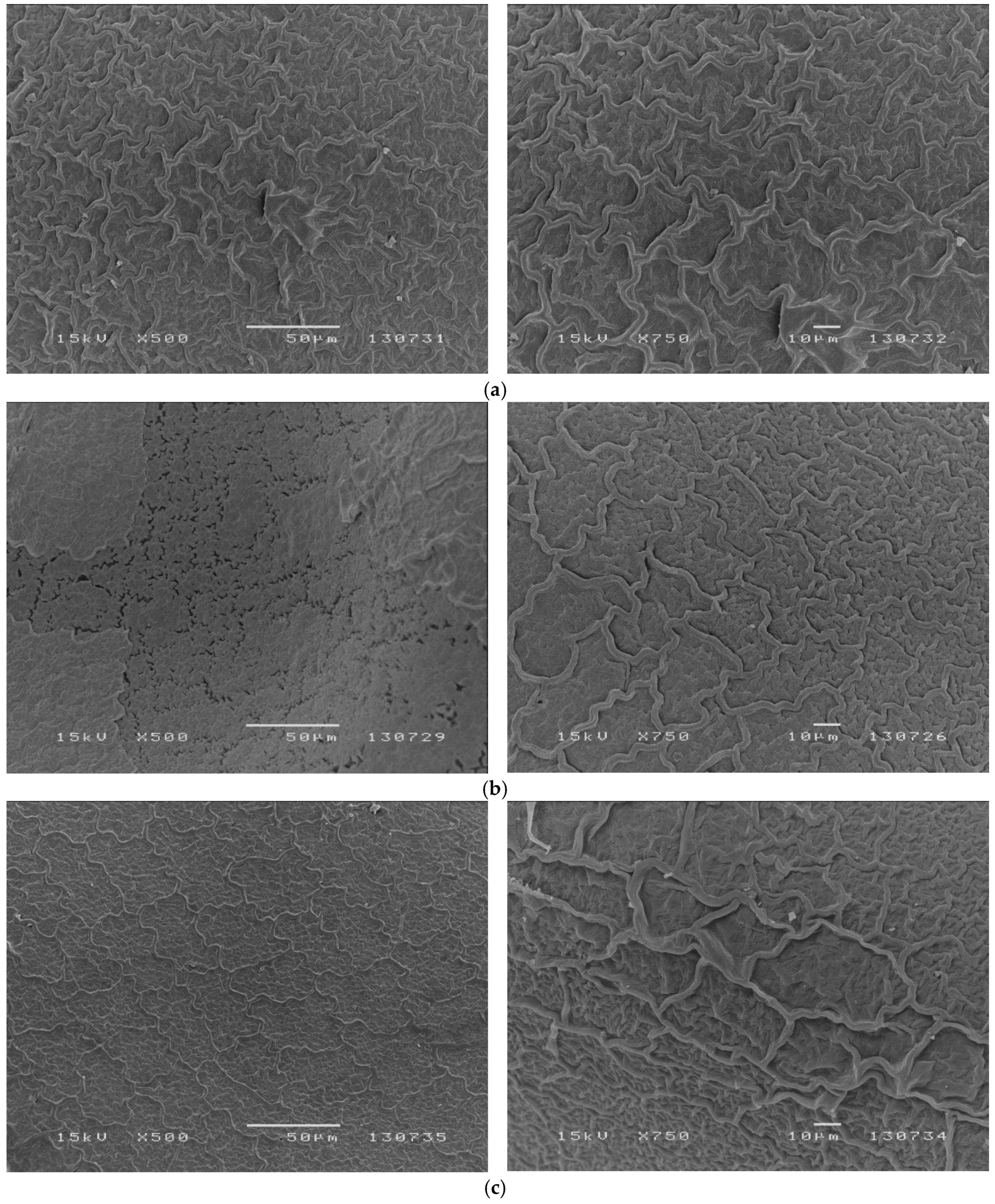 Plants 08 00063 g003