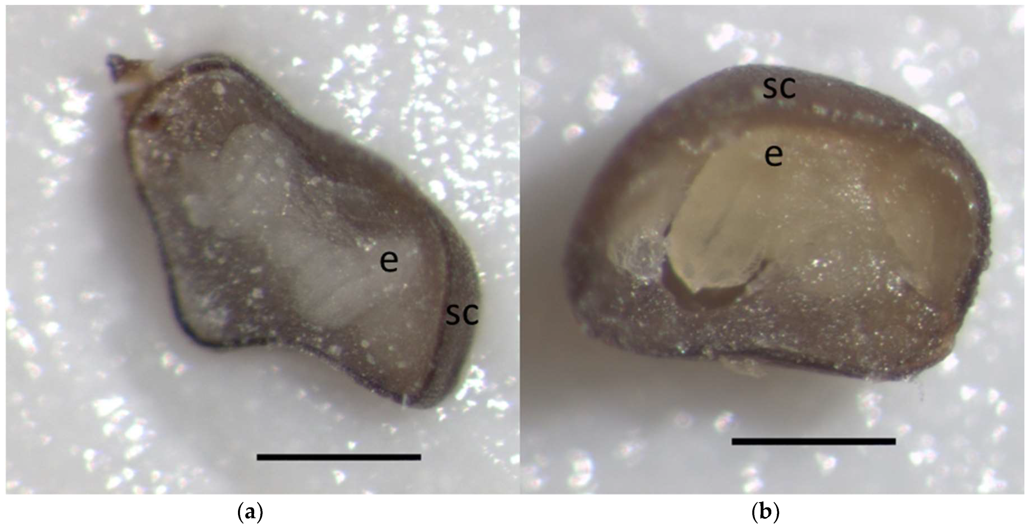 Plants 08 00063 g004a