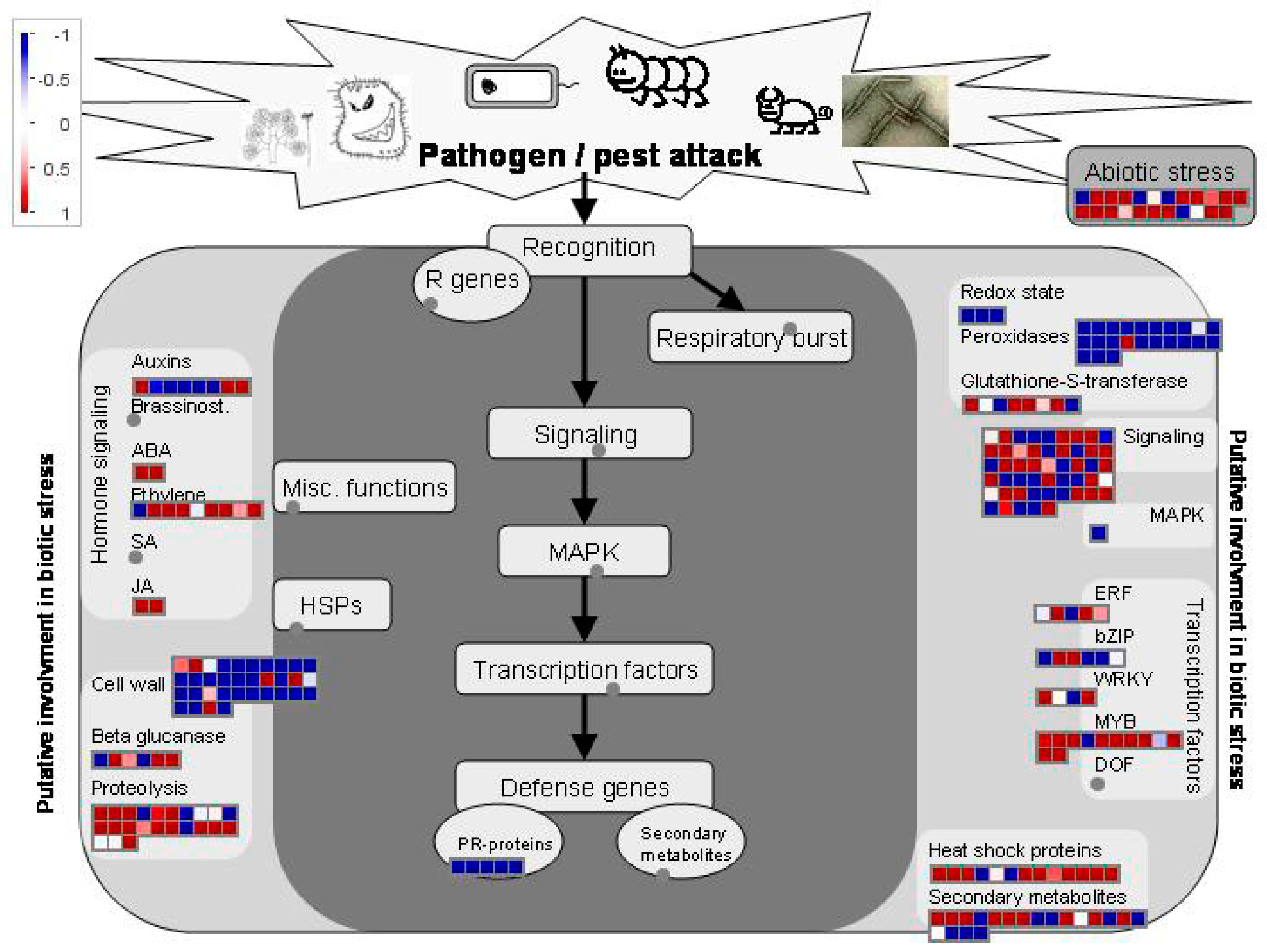 Plants 08 00064 g003