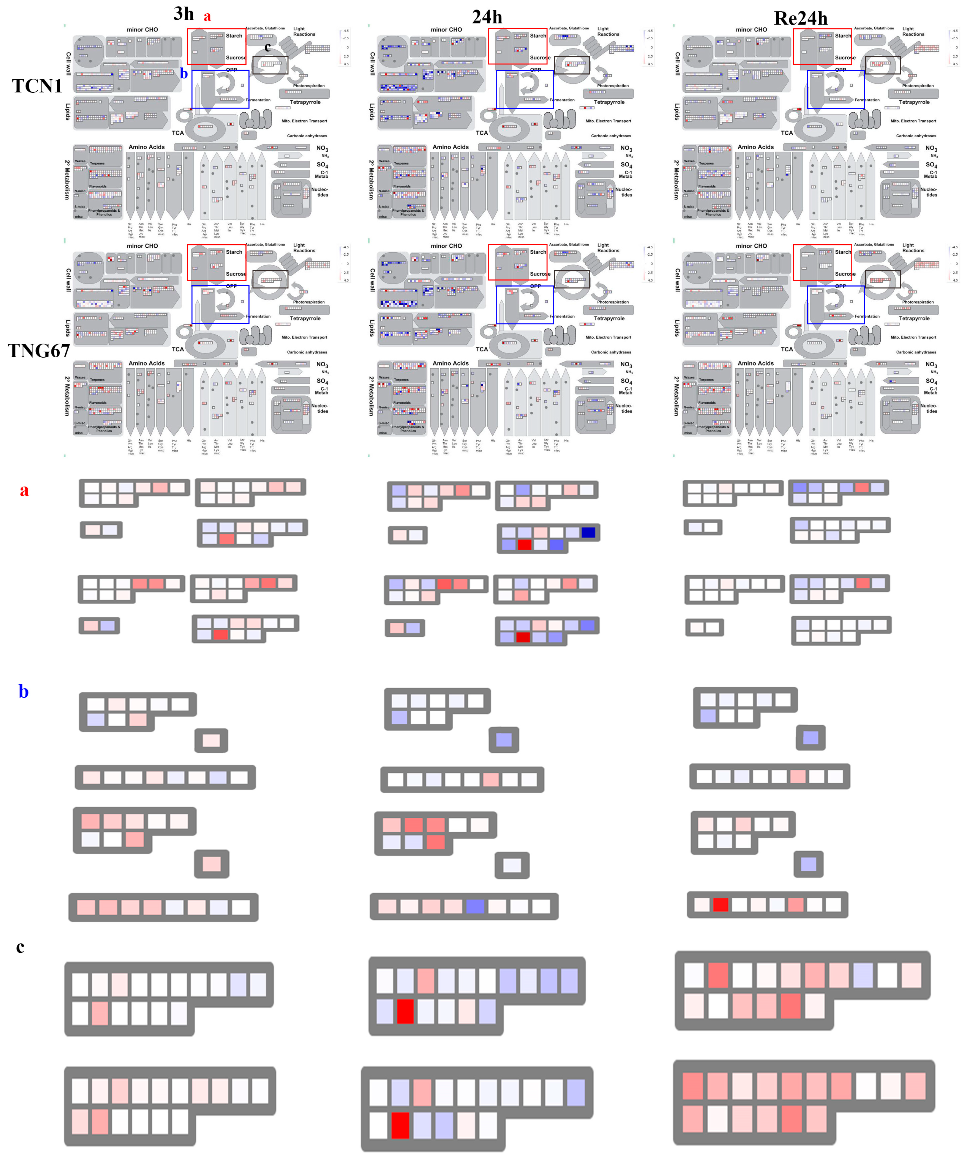 Plants 08 00064 g008