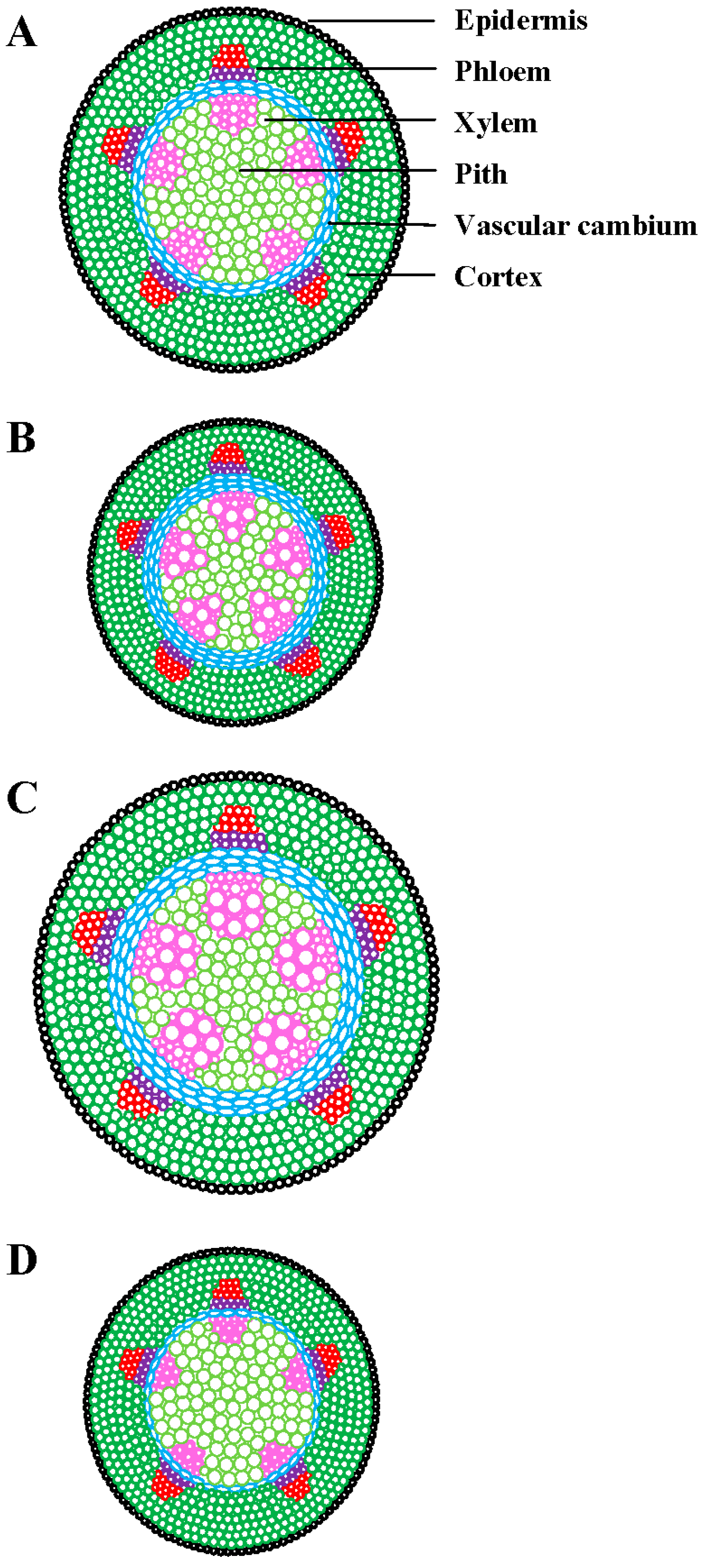 Plants 08 00065 g002