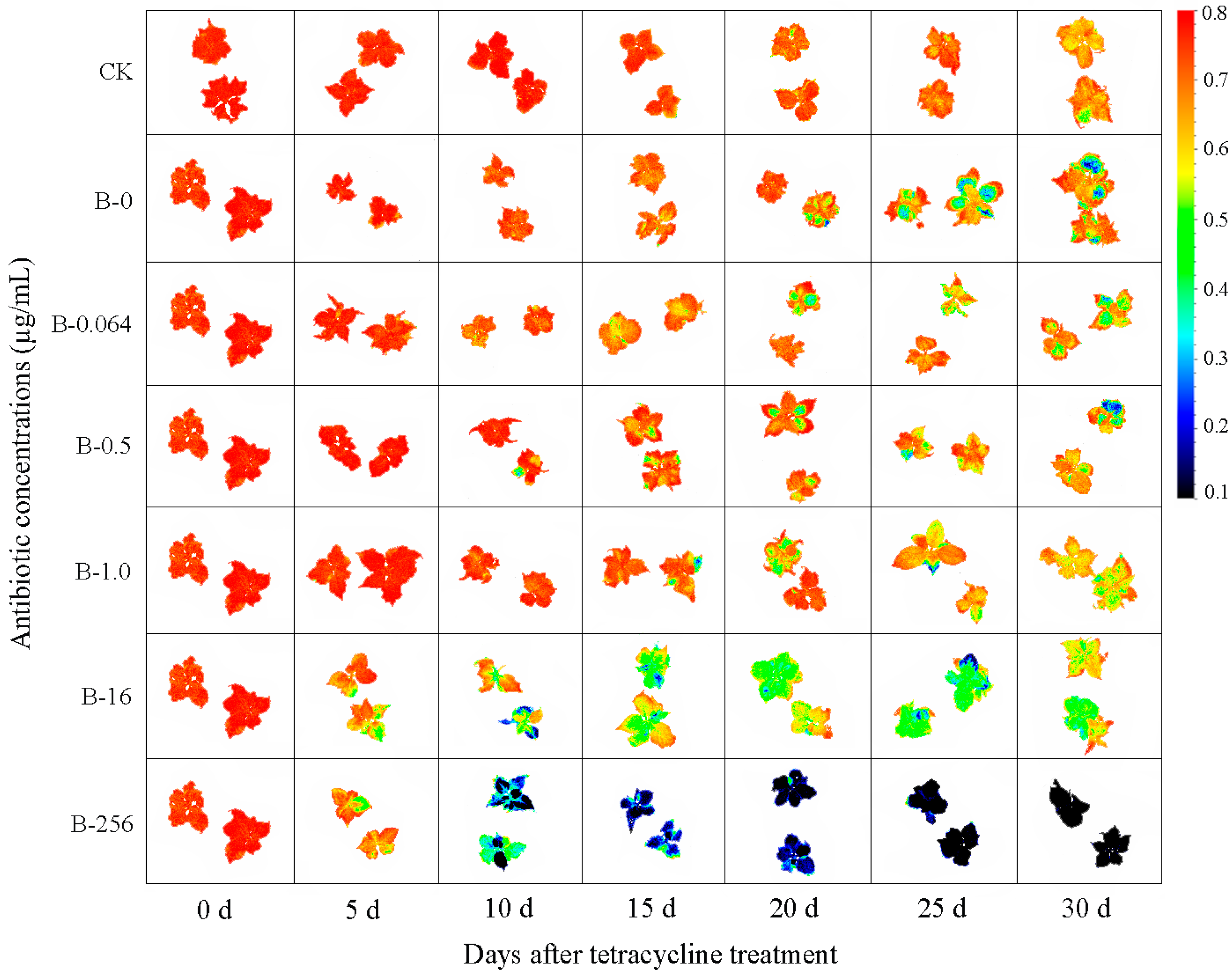 Plants 08 00066 g004