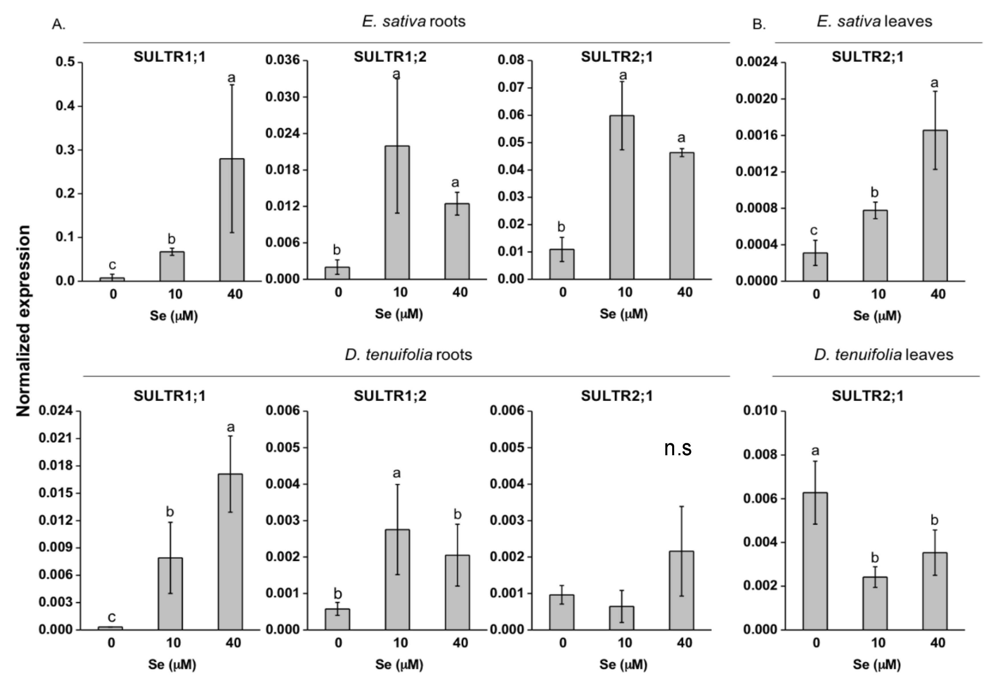 Plants 08 00068 g005