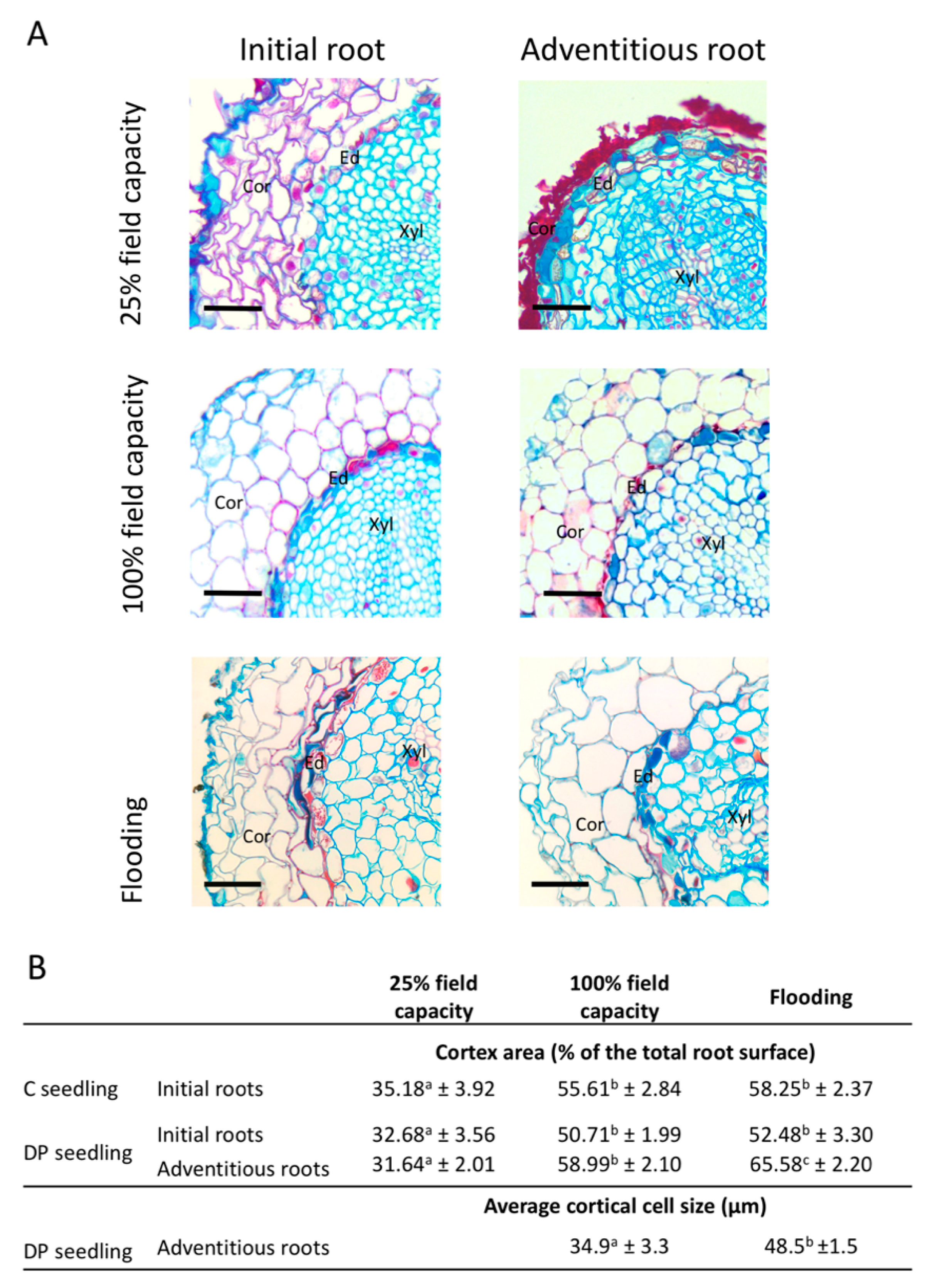 Plants 08 00070 g006