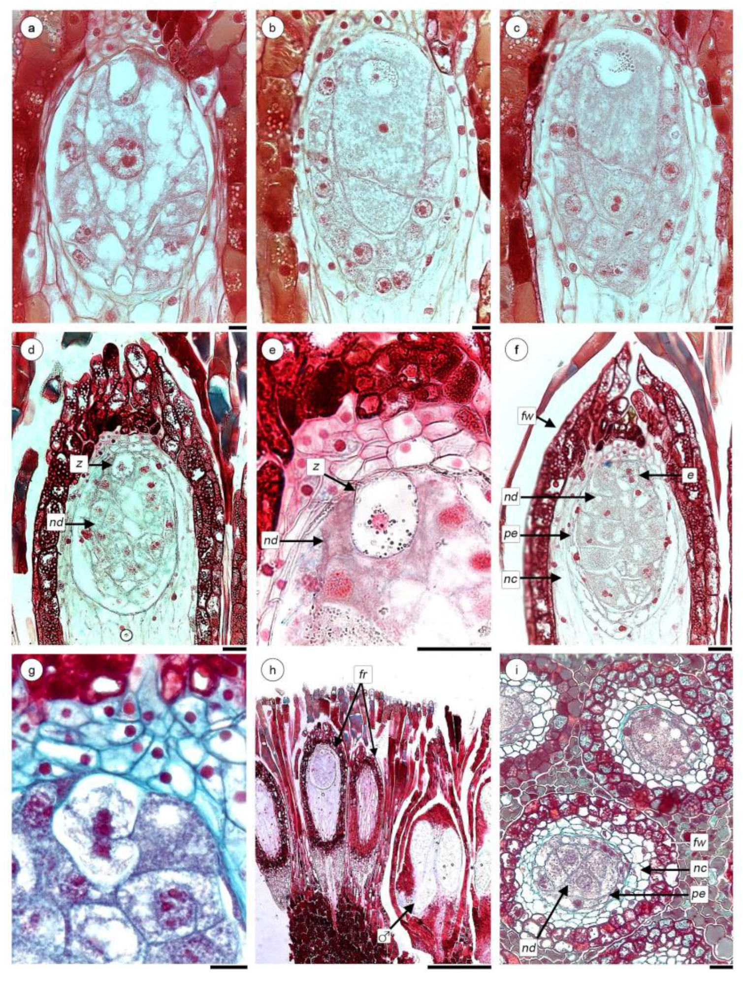Plants 08 00074 g005