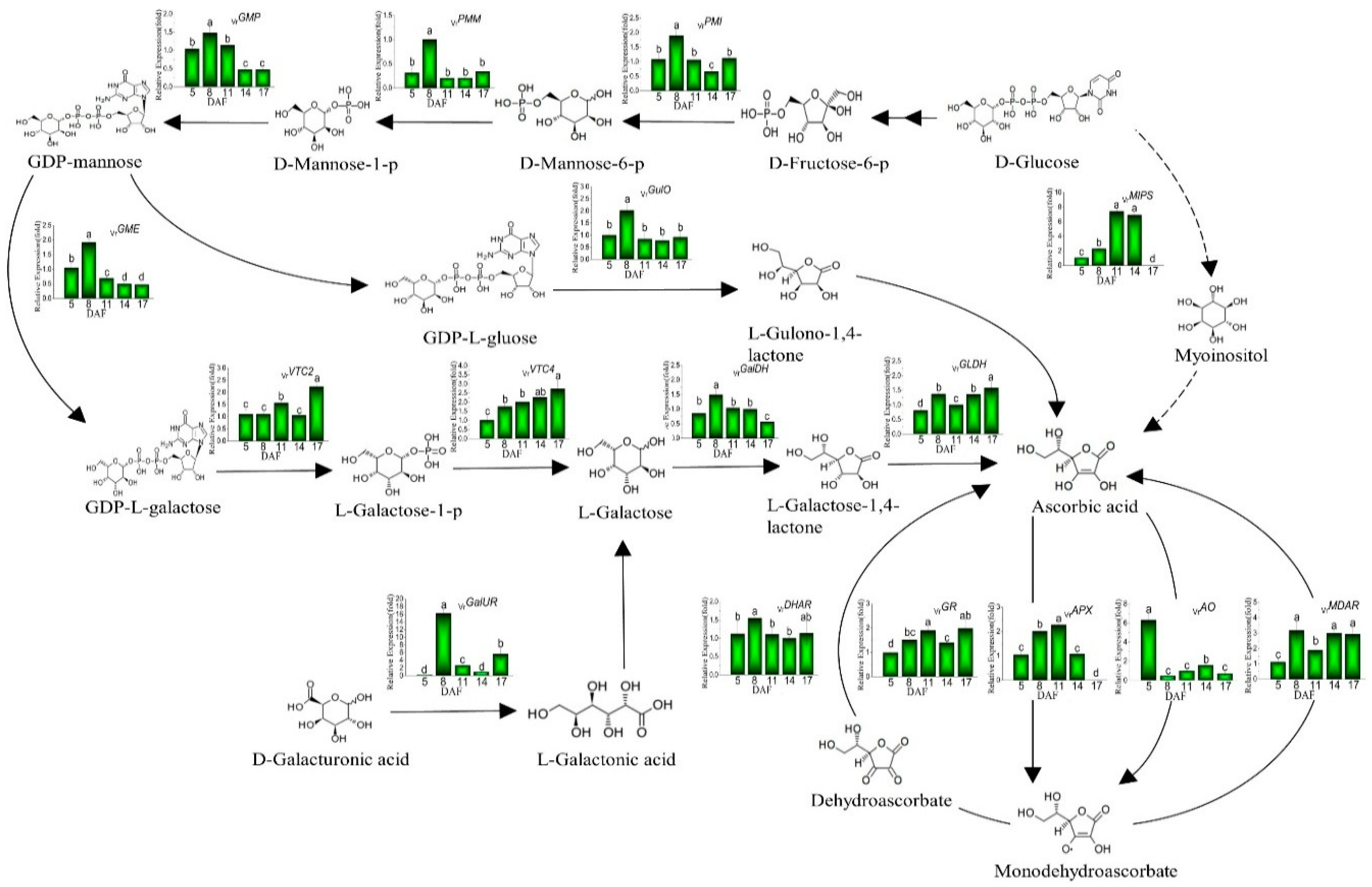 Plants 08 00075 g002