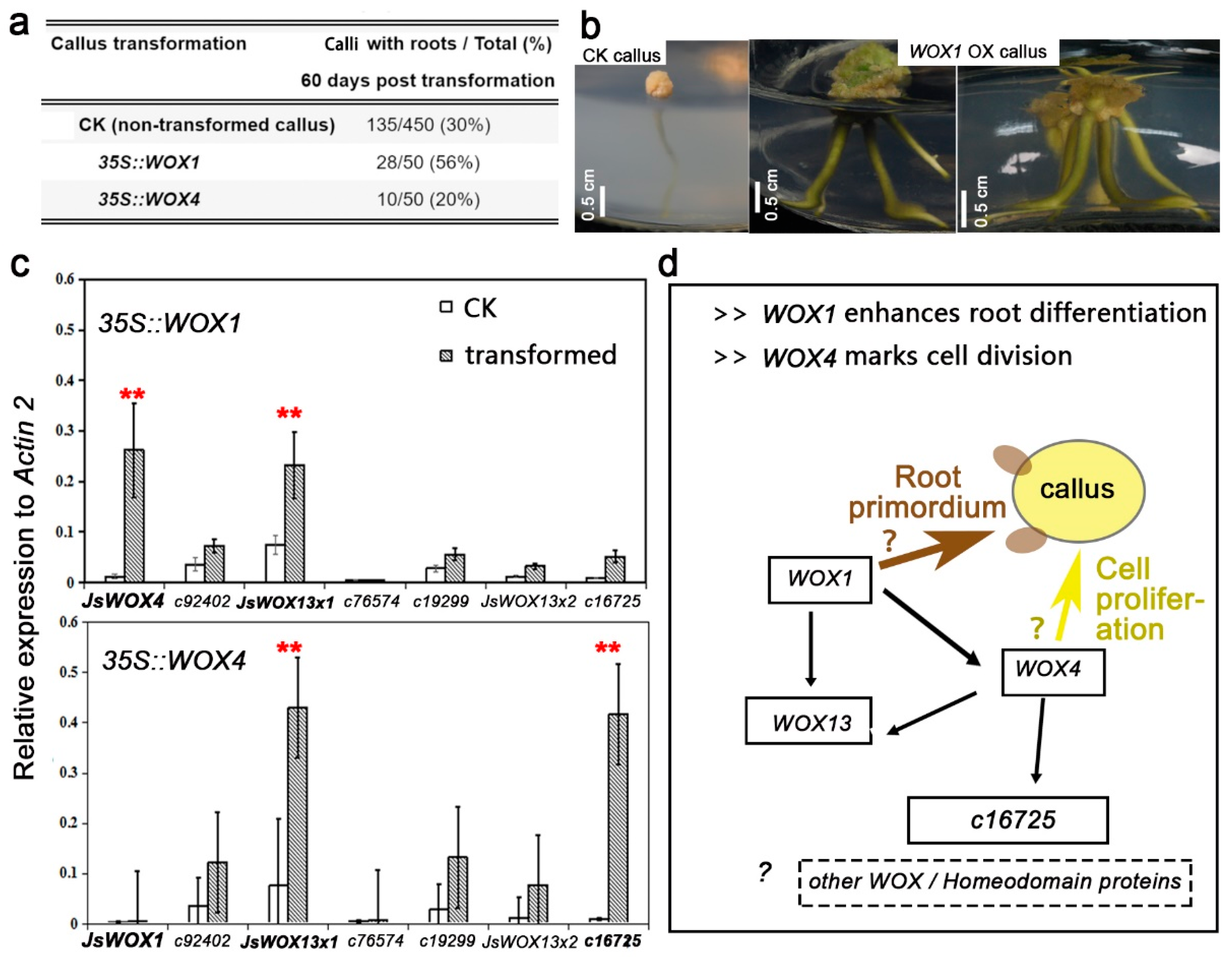 Plants 08 00079 g006 550