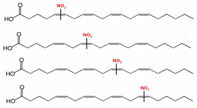 Plants 08 00082 i004