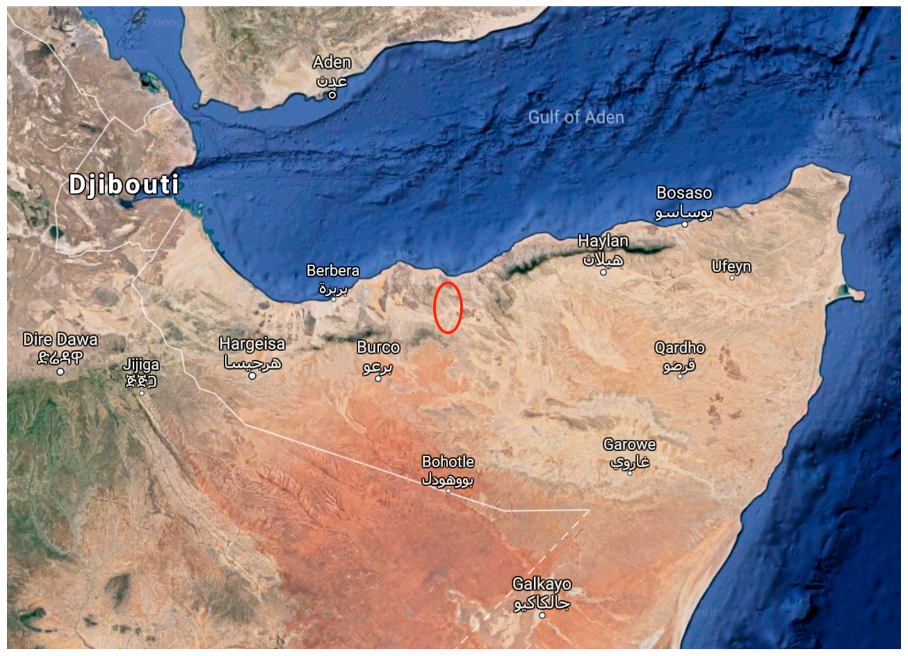 Plants 08 00088 g005 550