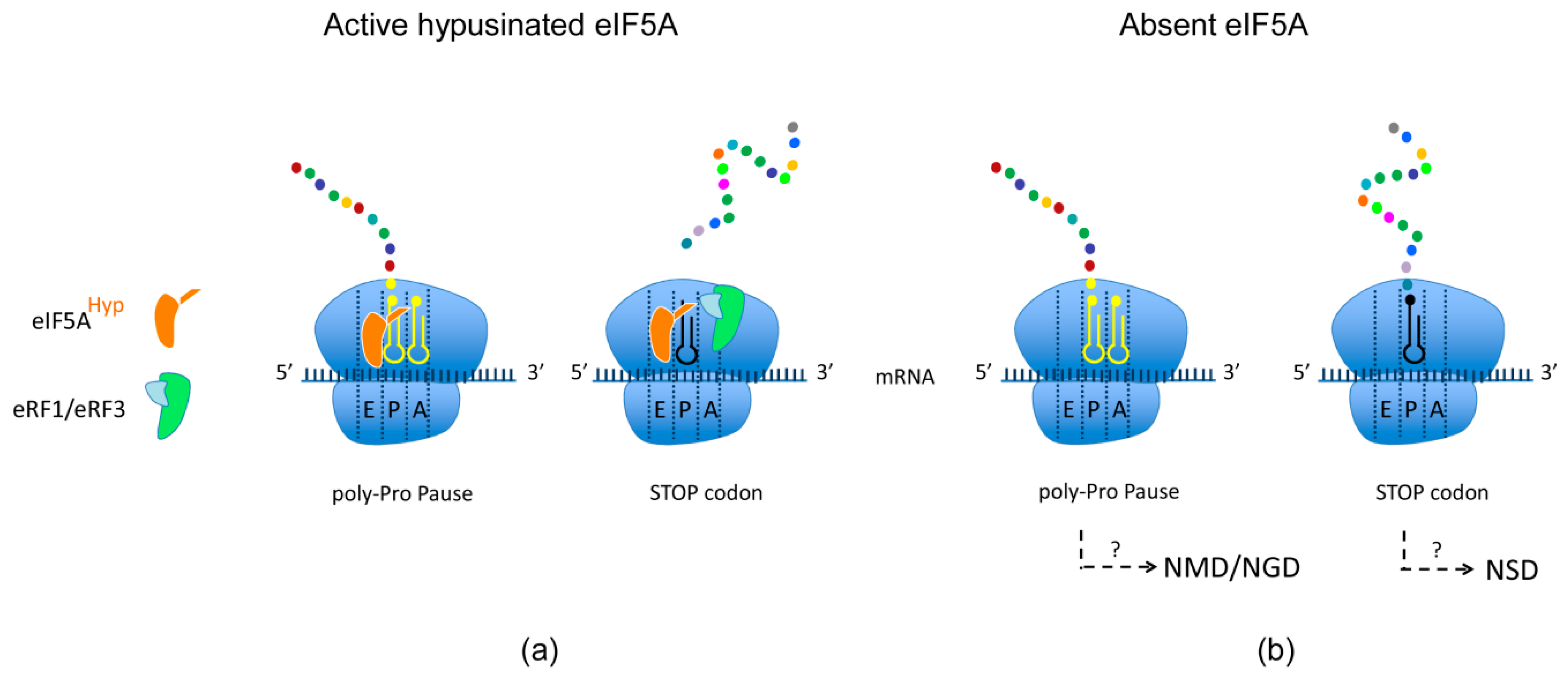 Plants 08 00109 g003