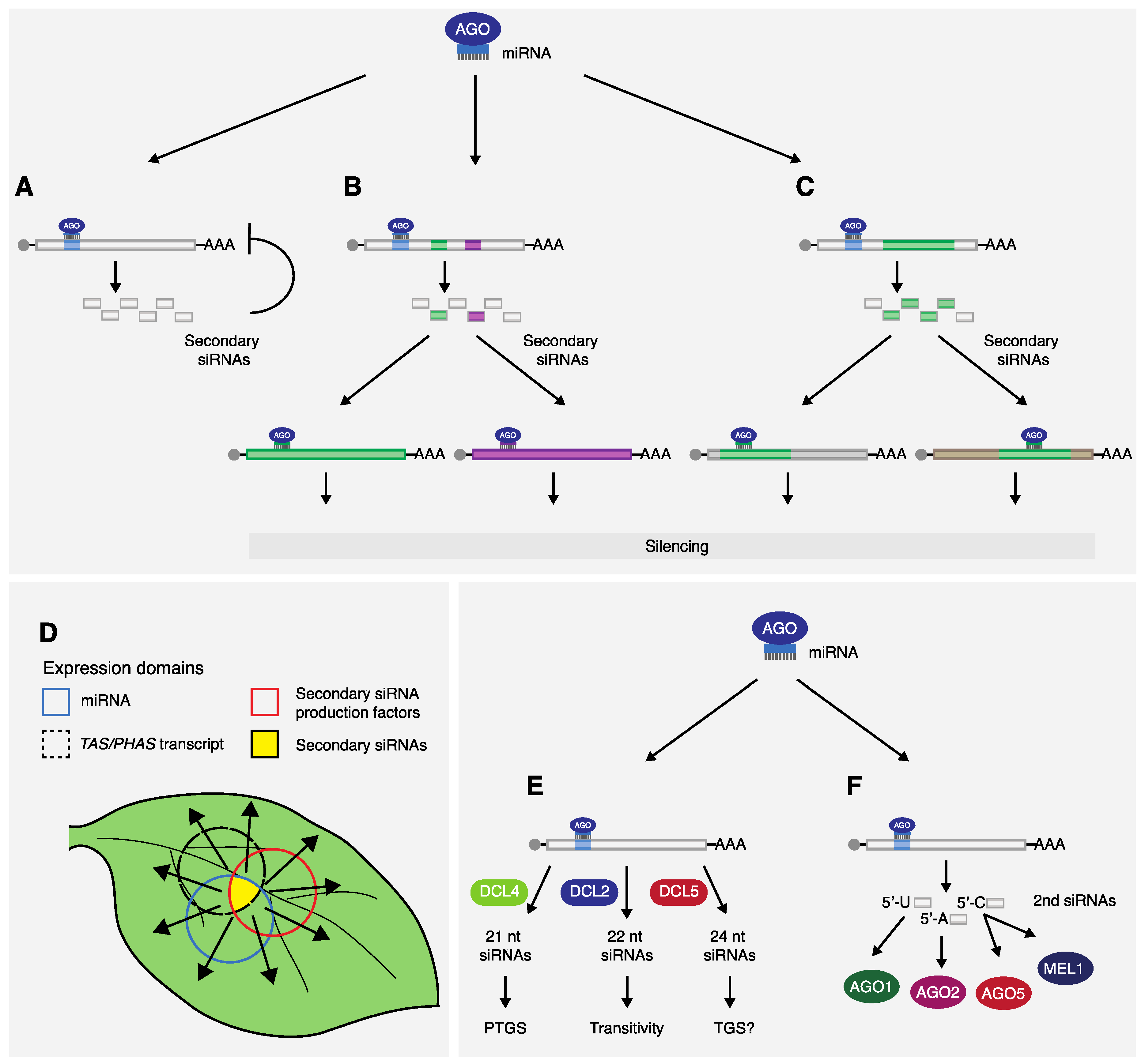 Plants 08 00112 g002