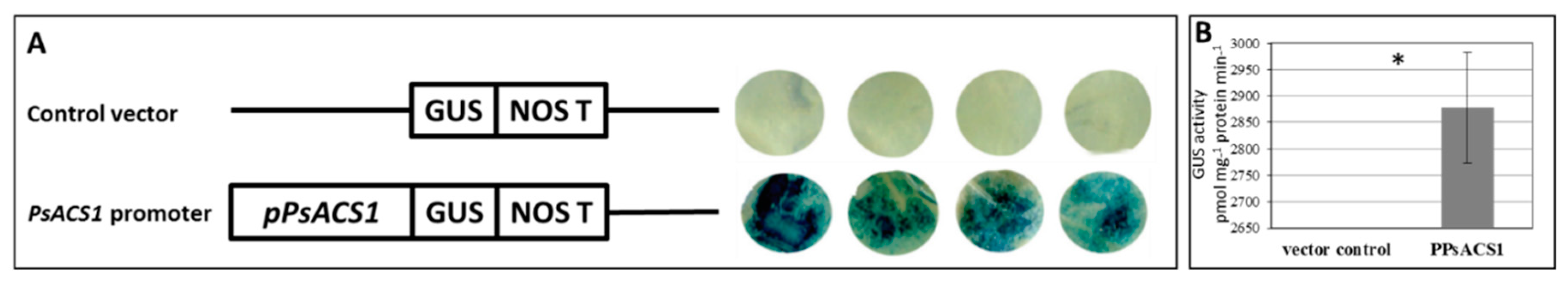 Plants 08 00117 g001