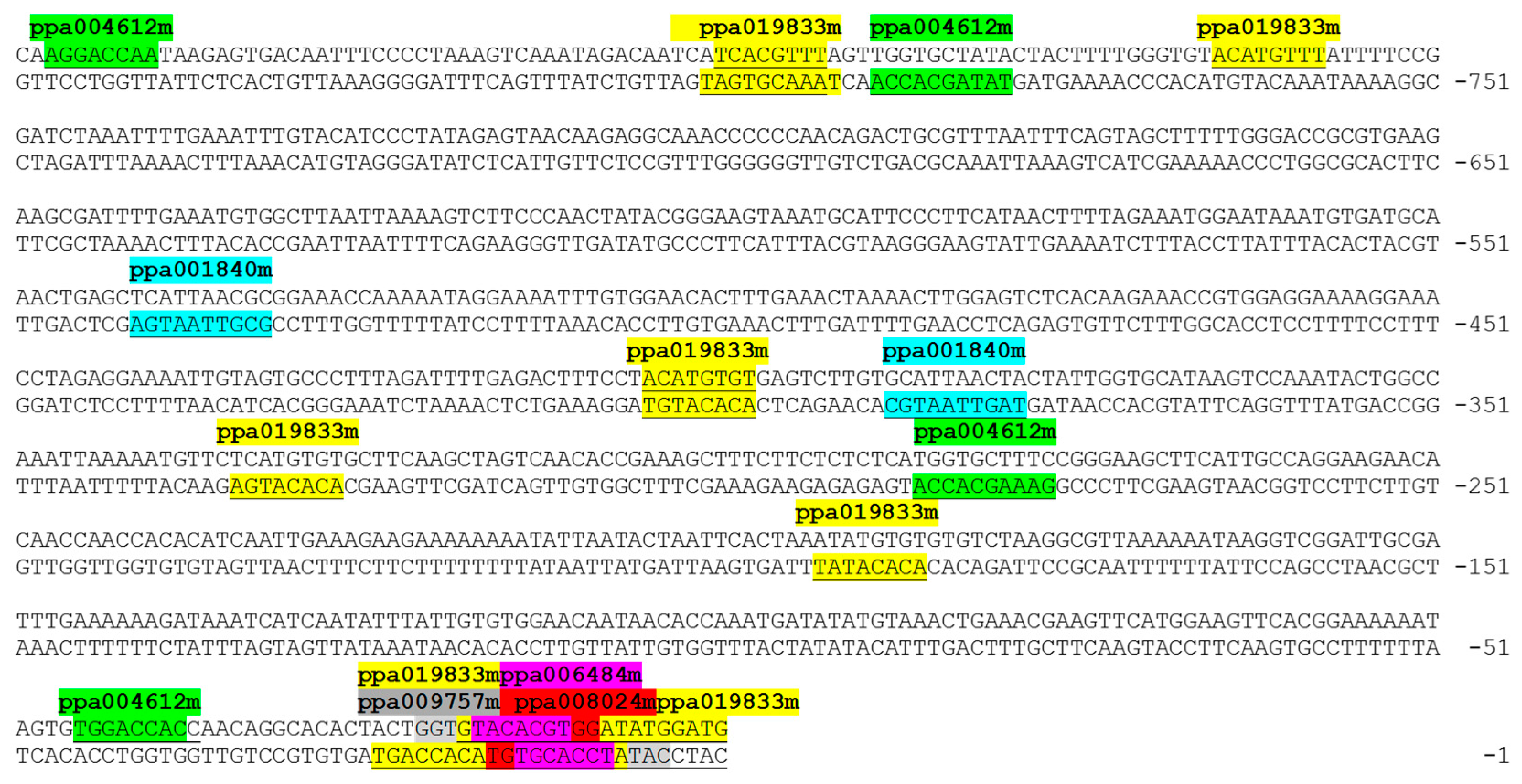 Plants 08 00117 g002