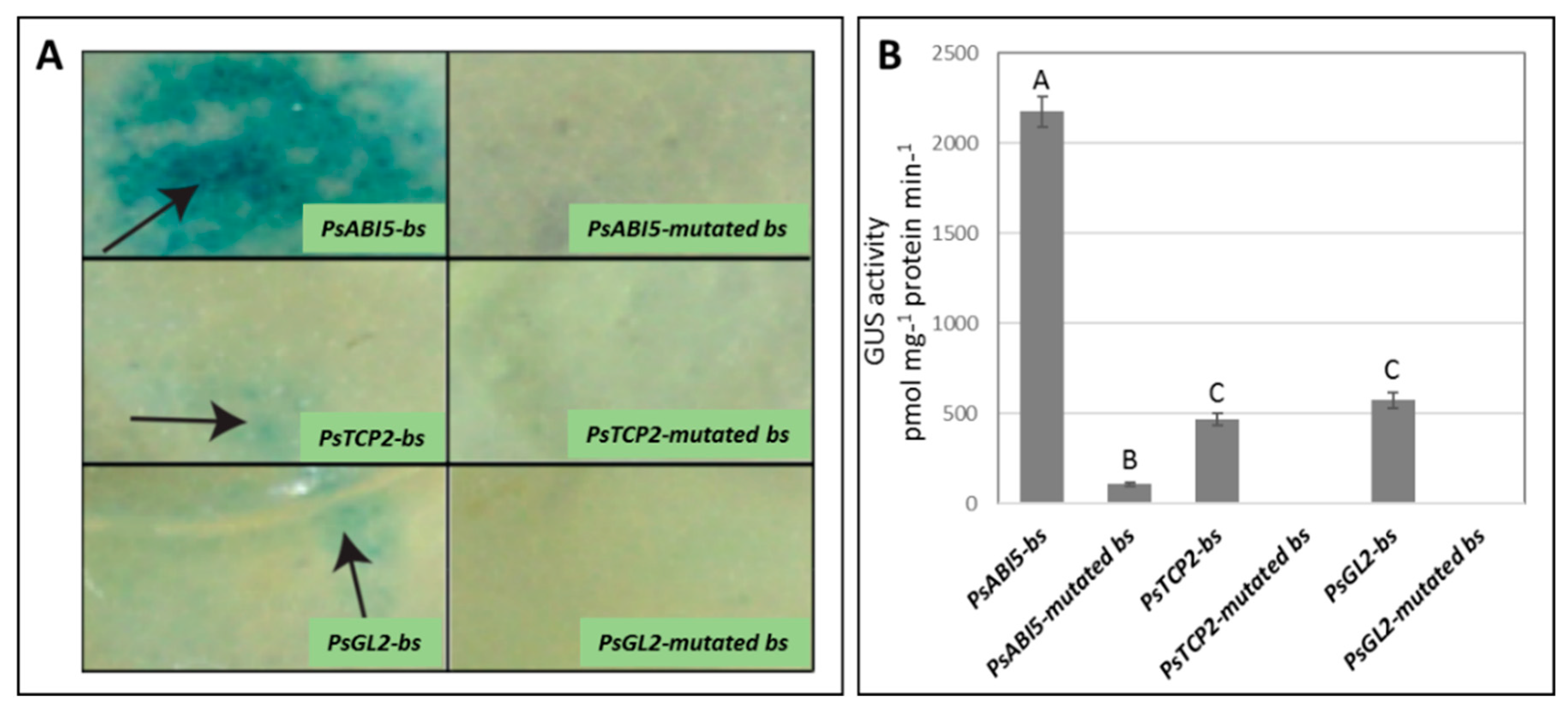 Plants 08 00117 g005