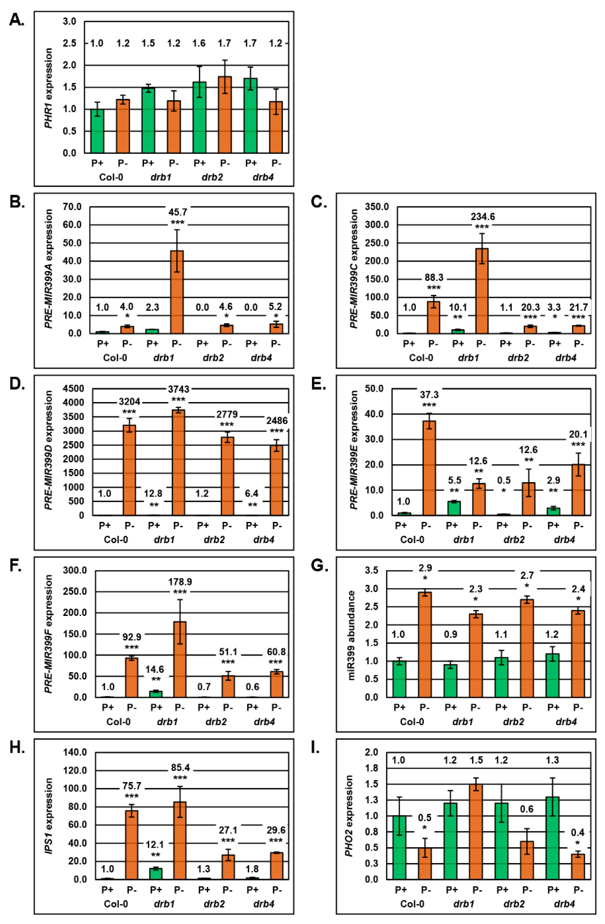 Plants 08 00124 g002