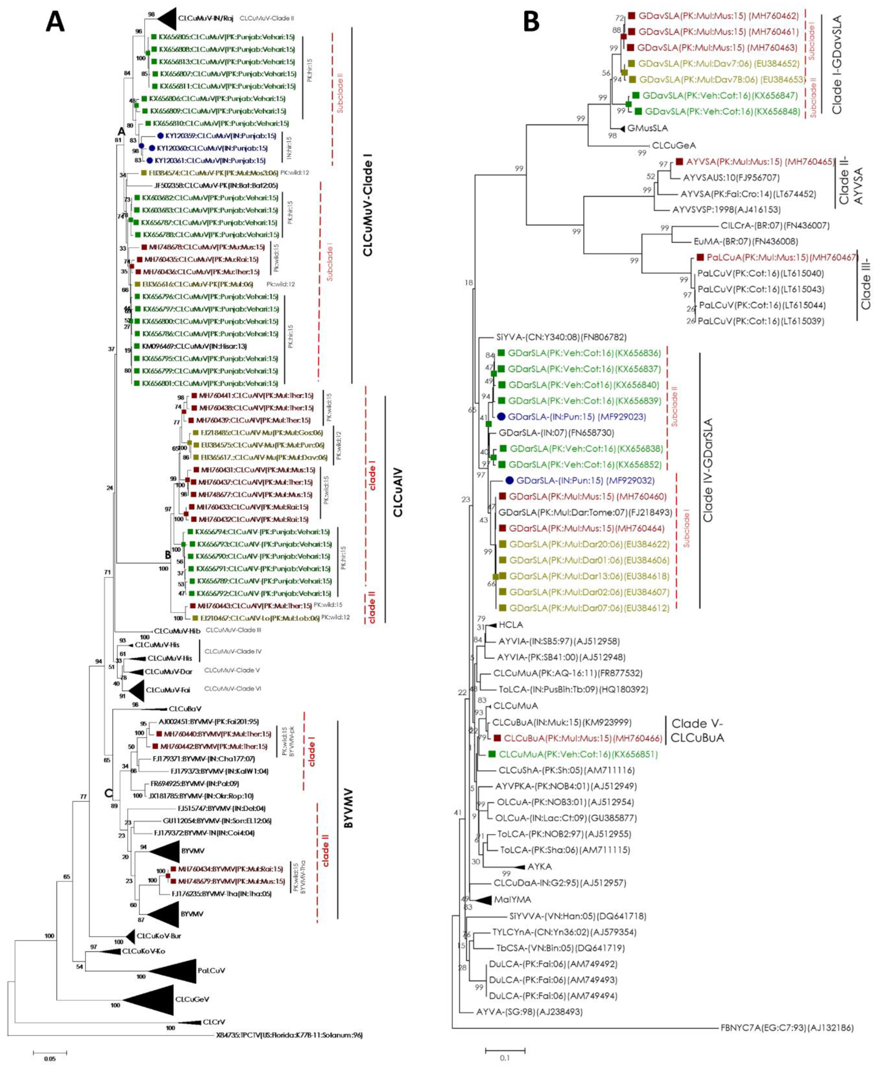 Plants 08 00127 g002 550