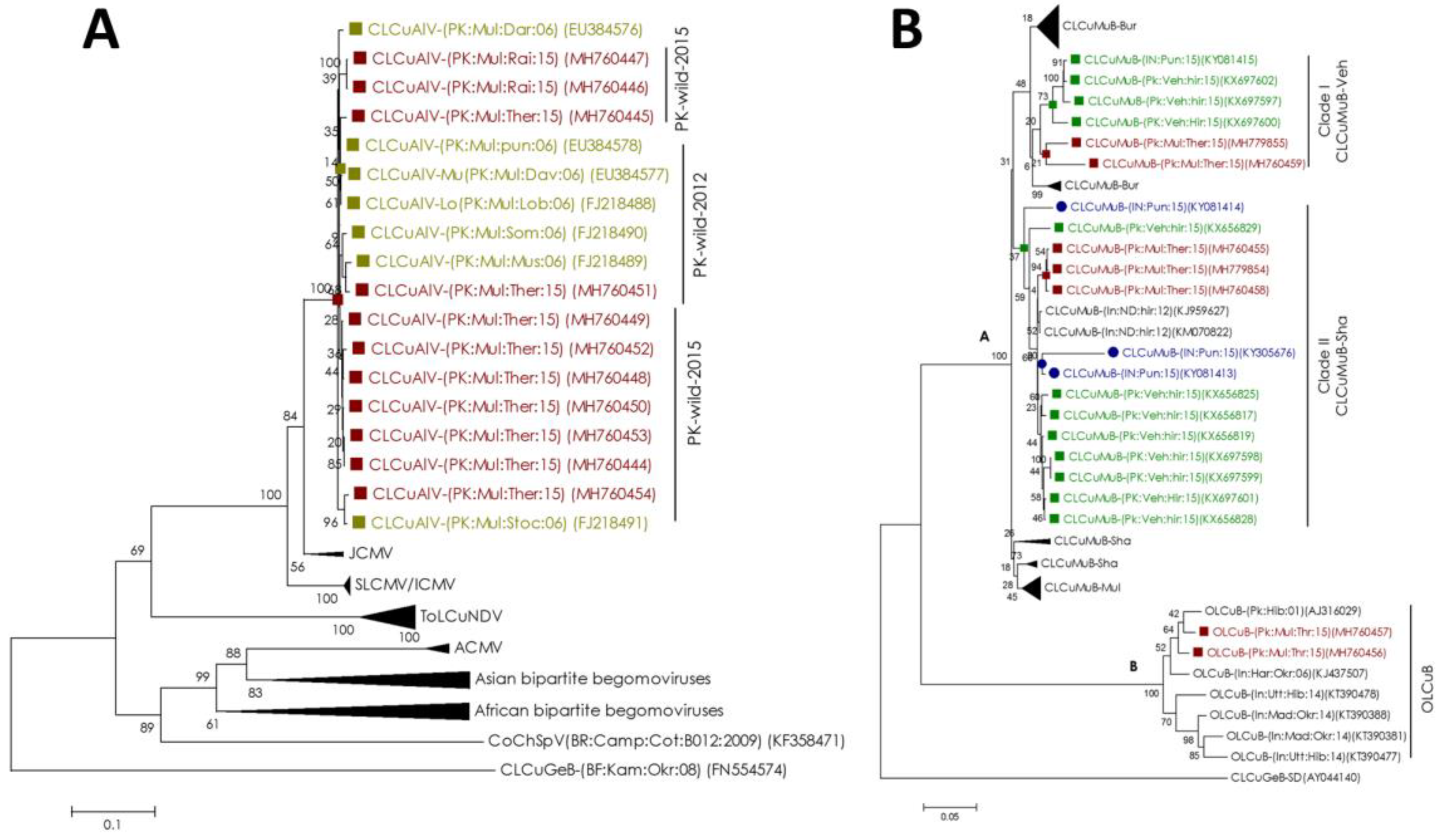 Plants 08 00127 g003 550
