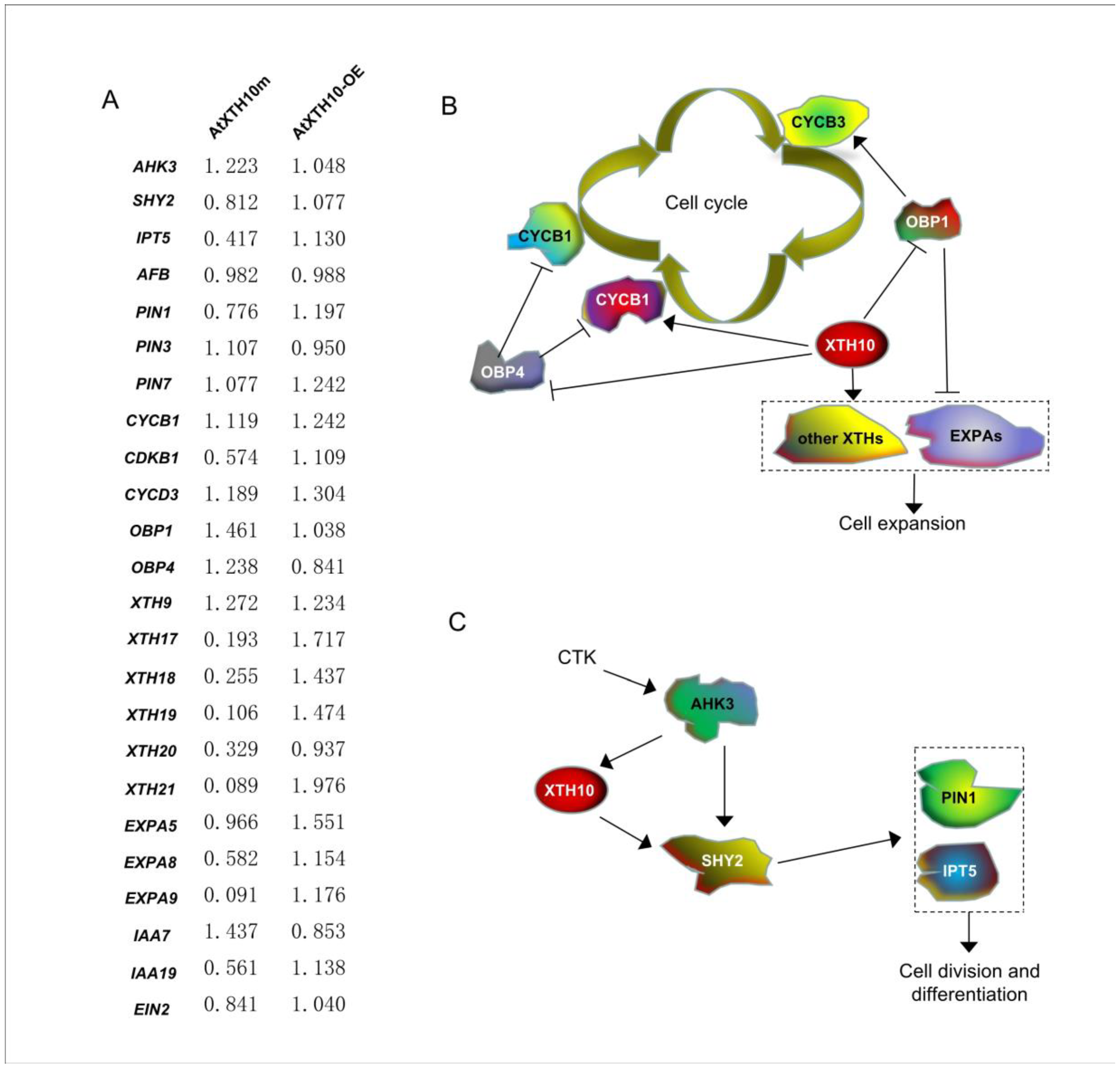 Plants 08 00130 g004