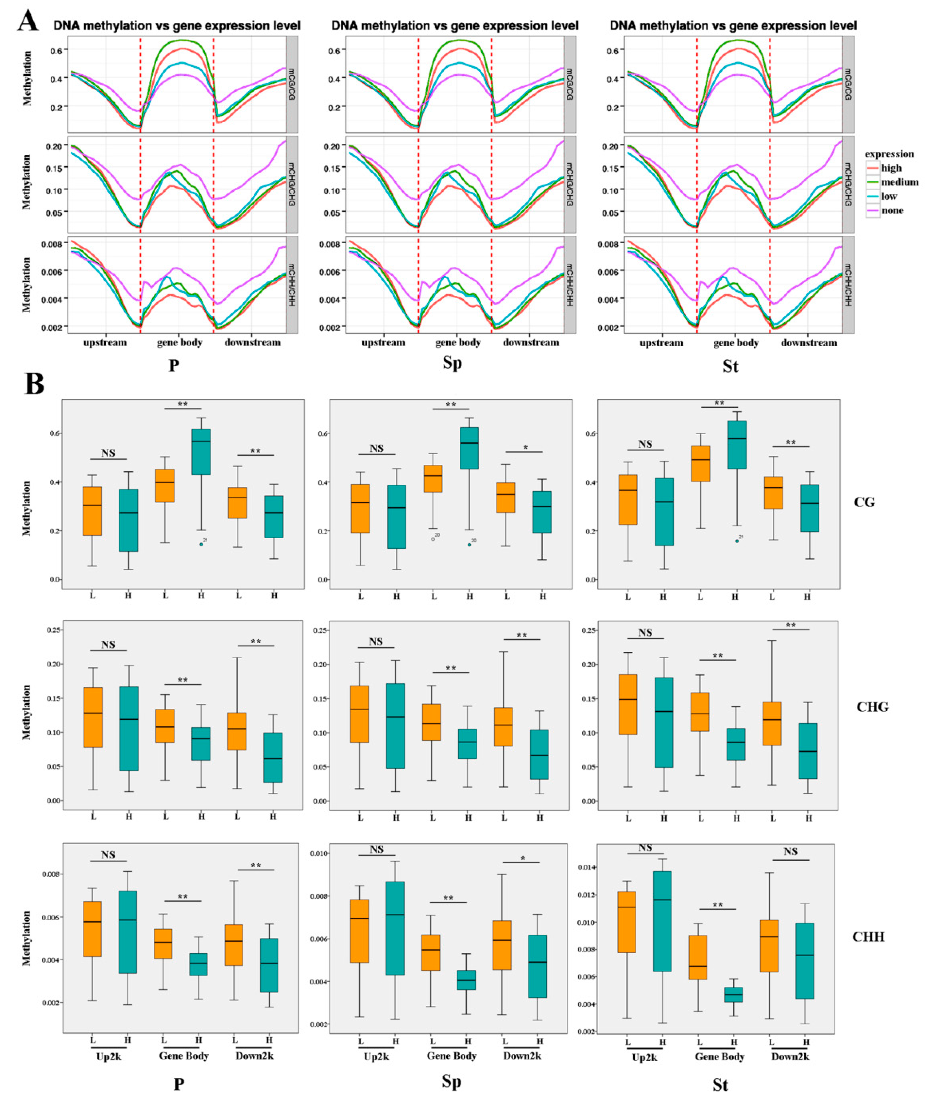 Plants 08 00135 g005